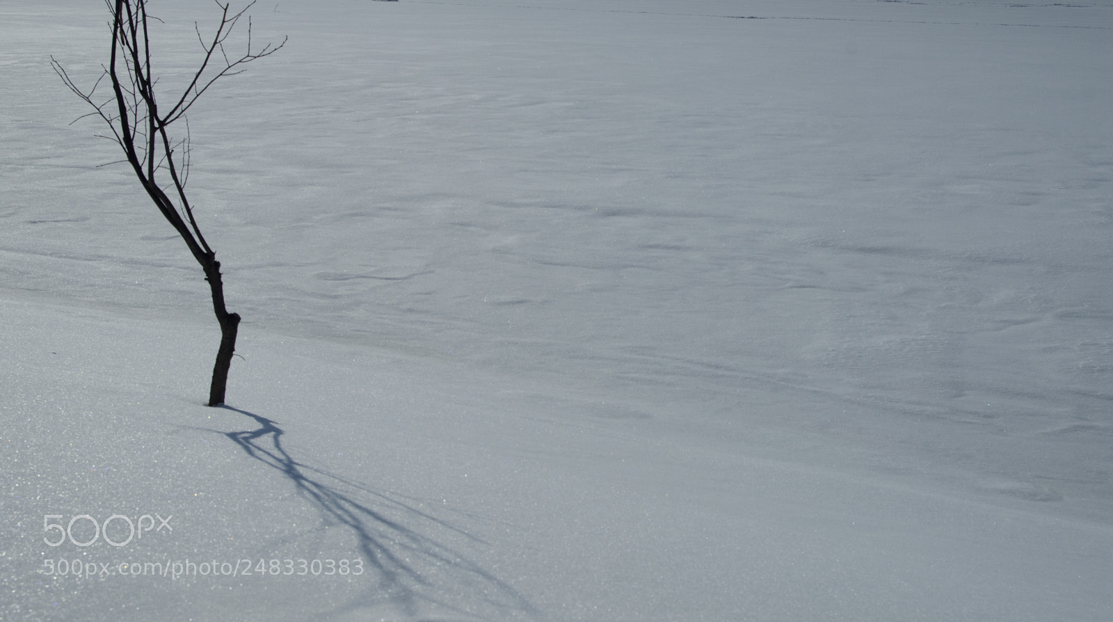 Pentax K-30 sample photo. Shadow photography