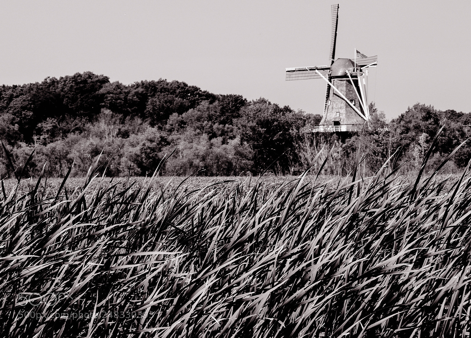 Canon EOS 7D Mark II sample photo. De zwaan windmill photography