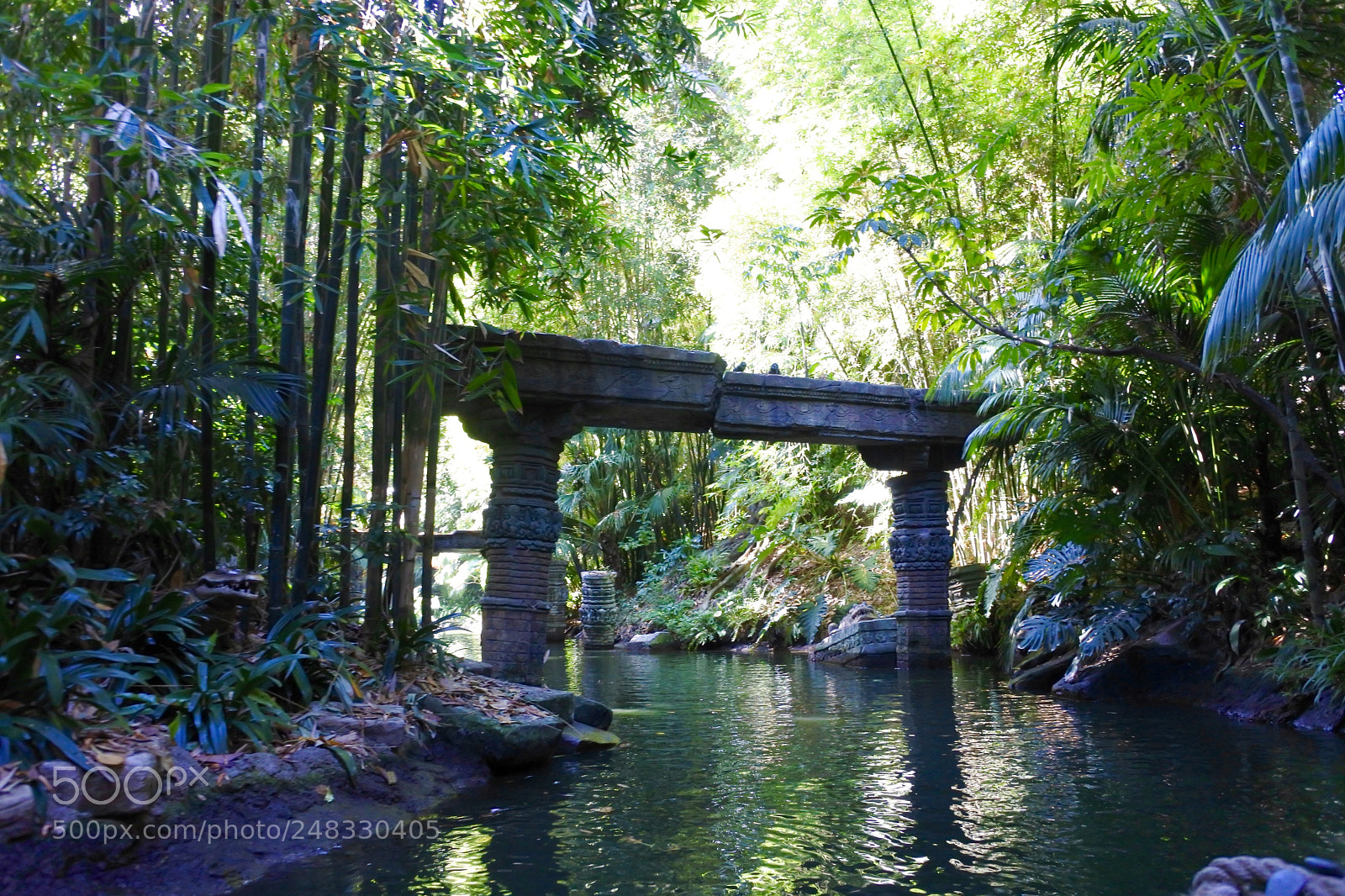 Nikon 1 J5 sample photo. The jungle cruise 2 photography