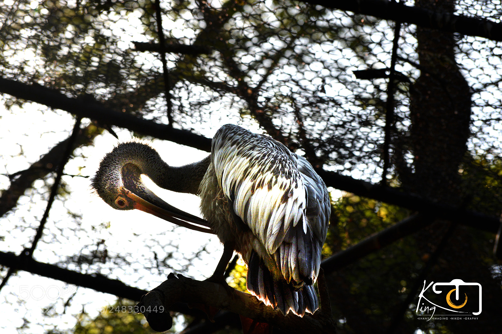 Nikon D5200 sample photo. *** photography