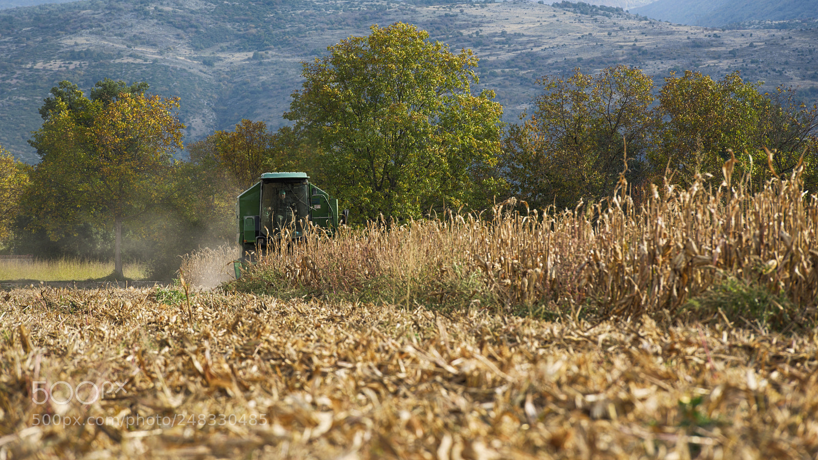 Nikon D600 sample photo. Agricoltura photography