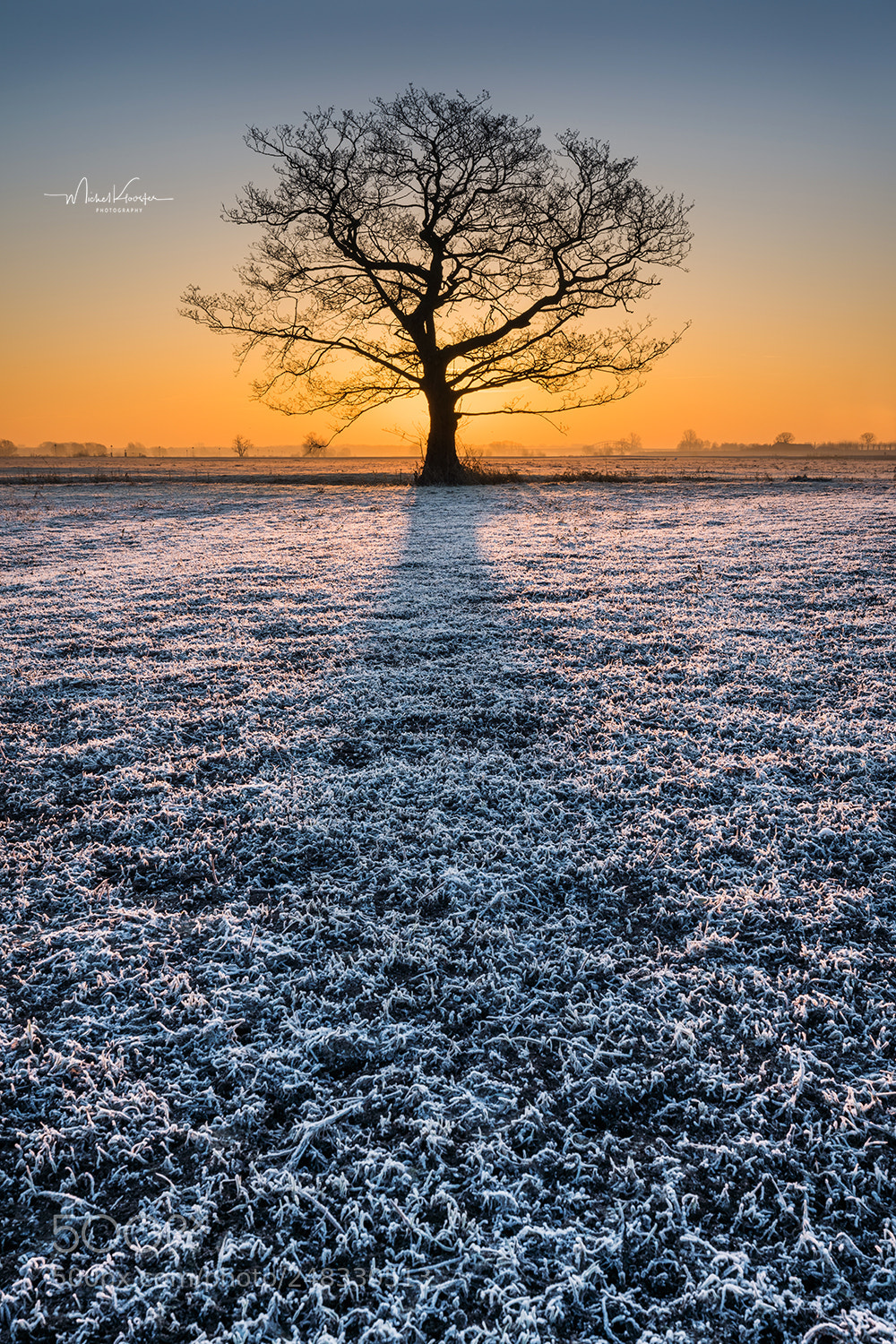 Sony a7R III sample photo. Winter morning in the photography