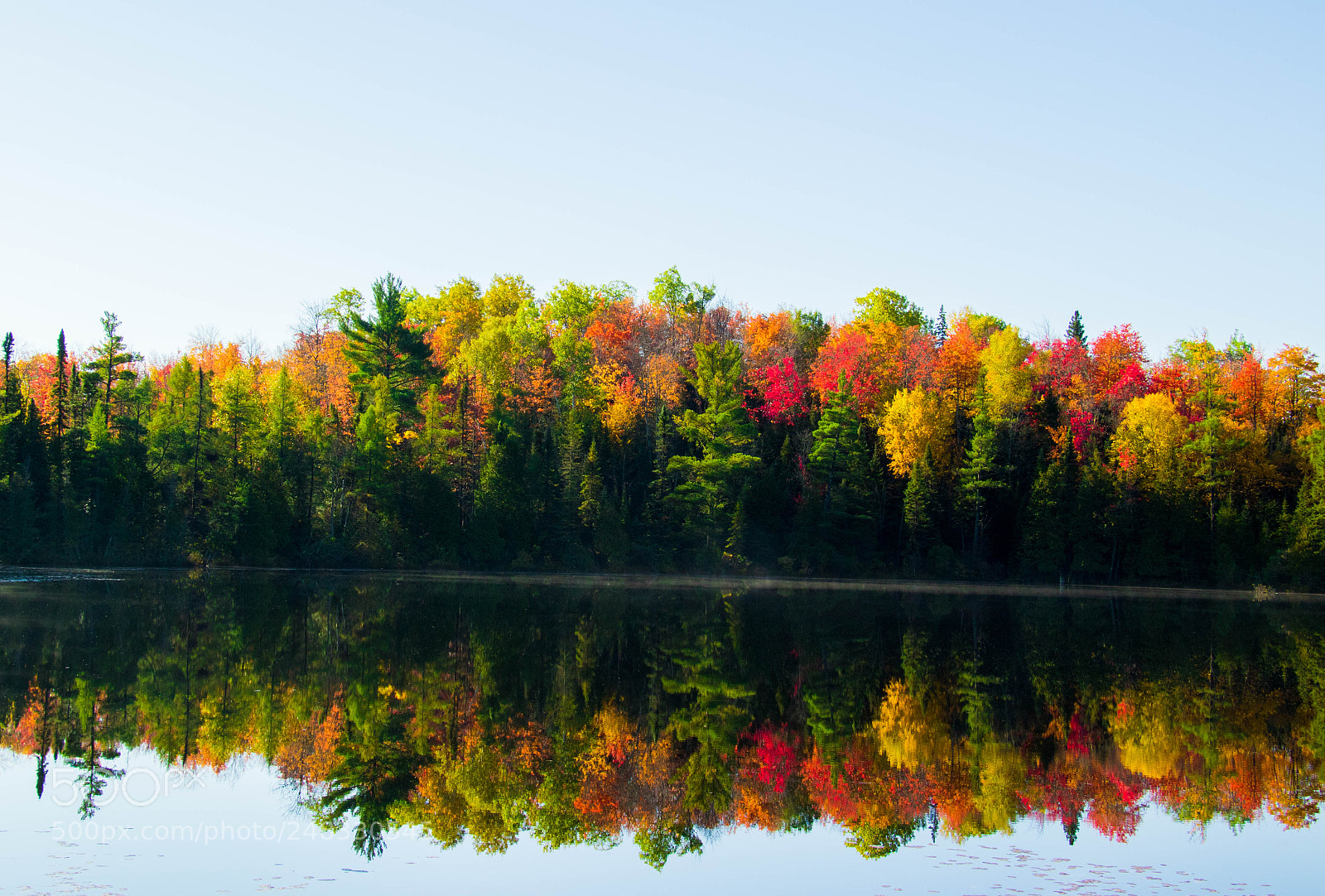 Canon EOS 7D Mark II sample photo. Fall colors photography