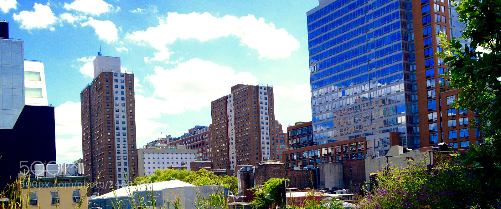 Nikon D3200 sample photo. Dsc photography