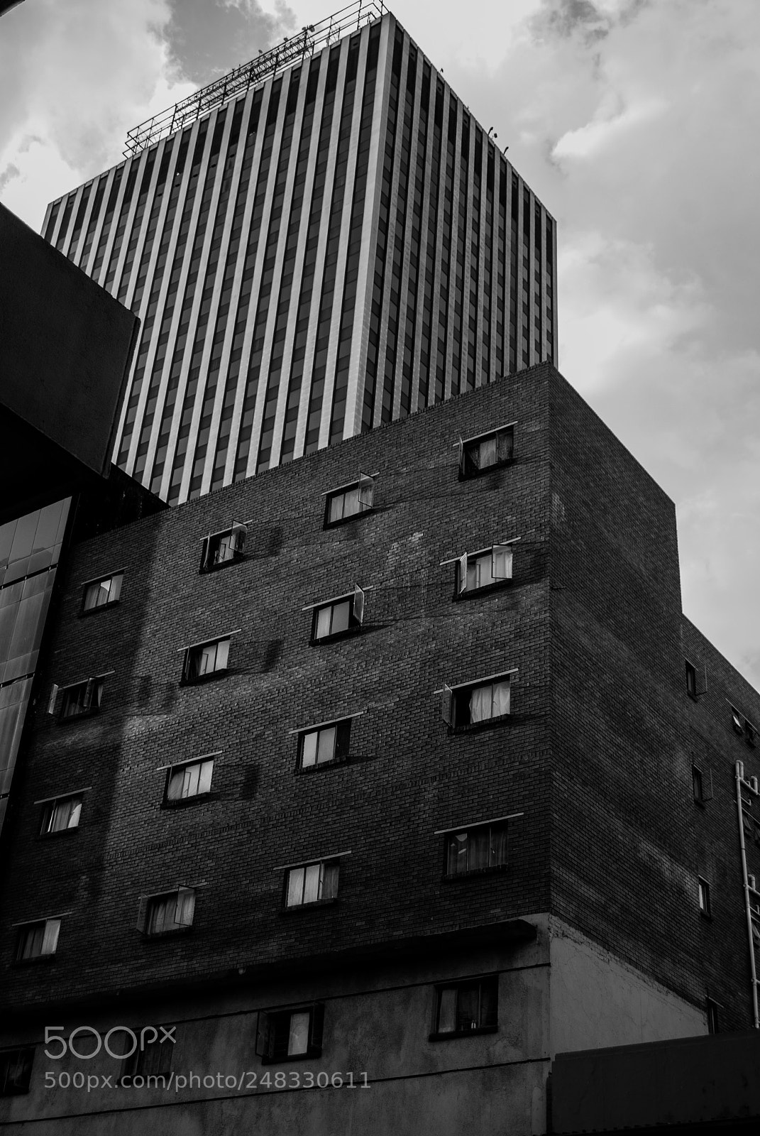 Nikon D60 sample photo. Untitled photography
