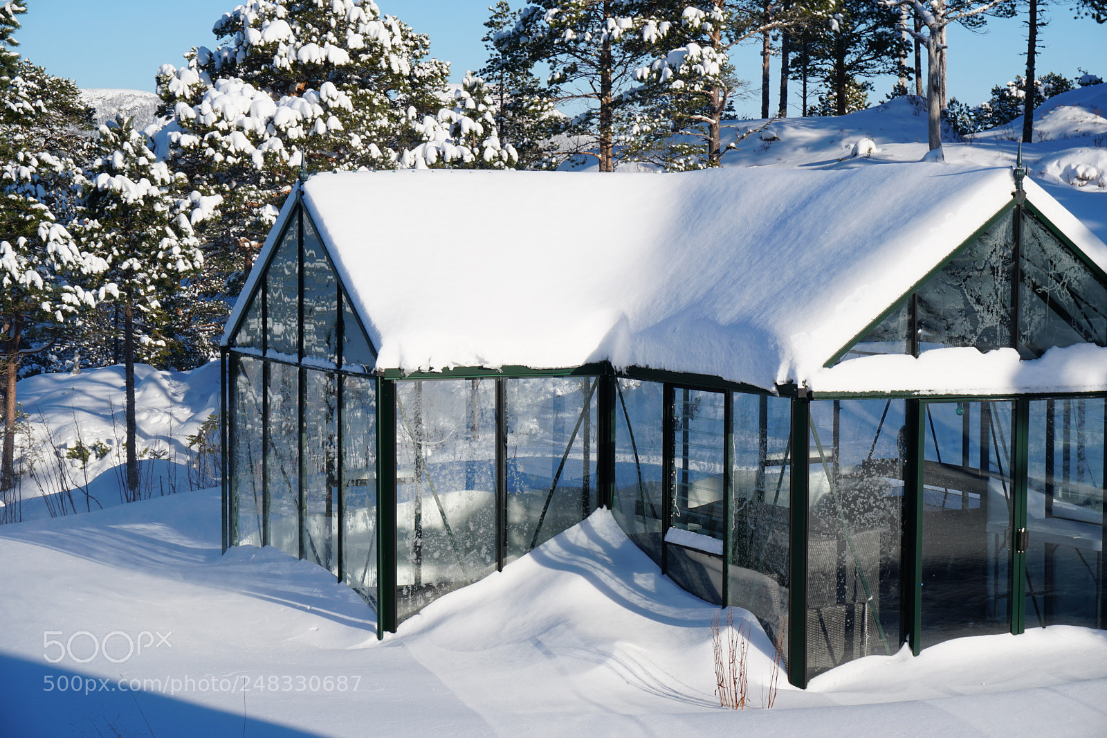 Sony a6300 sample photo. Greenhouse in winter, wait photography