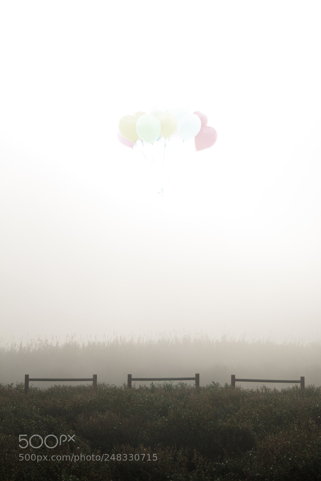 Canon EOS 60D sample photo. Above photography