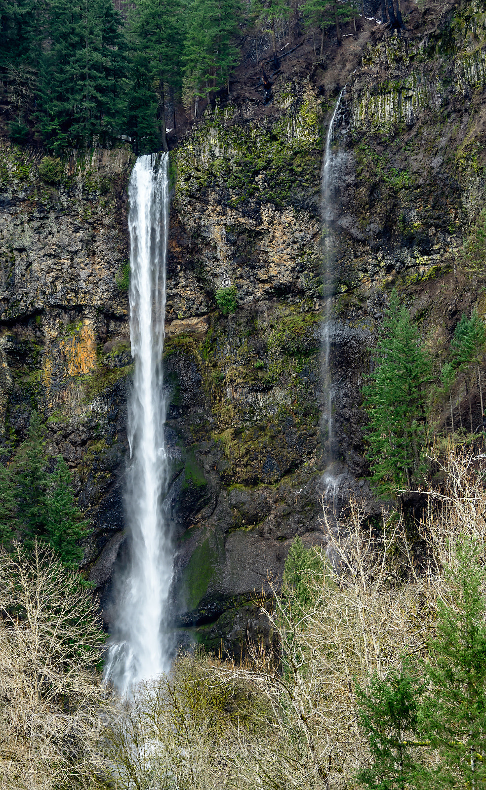 Nikon D500 sample photo. Multnomah falls photography