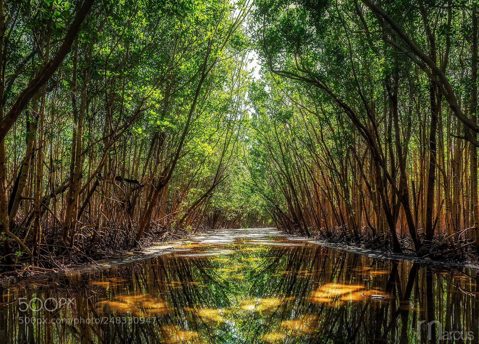 Nikon D810 sample photo. Quiet road photography