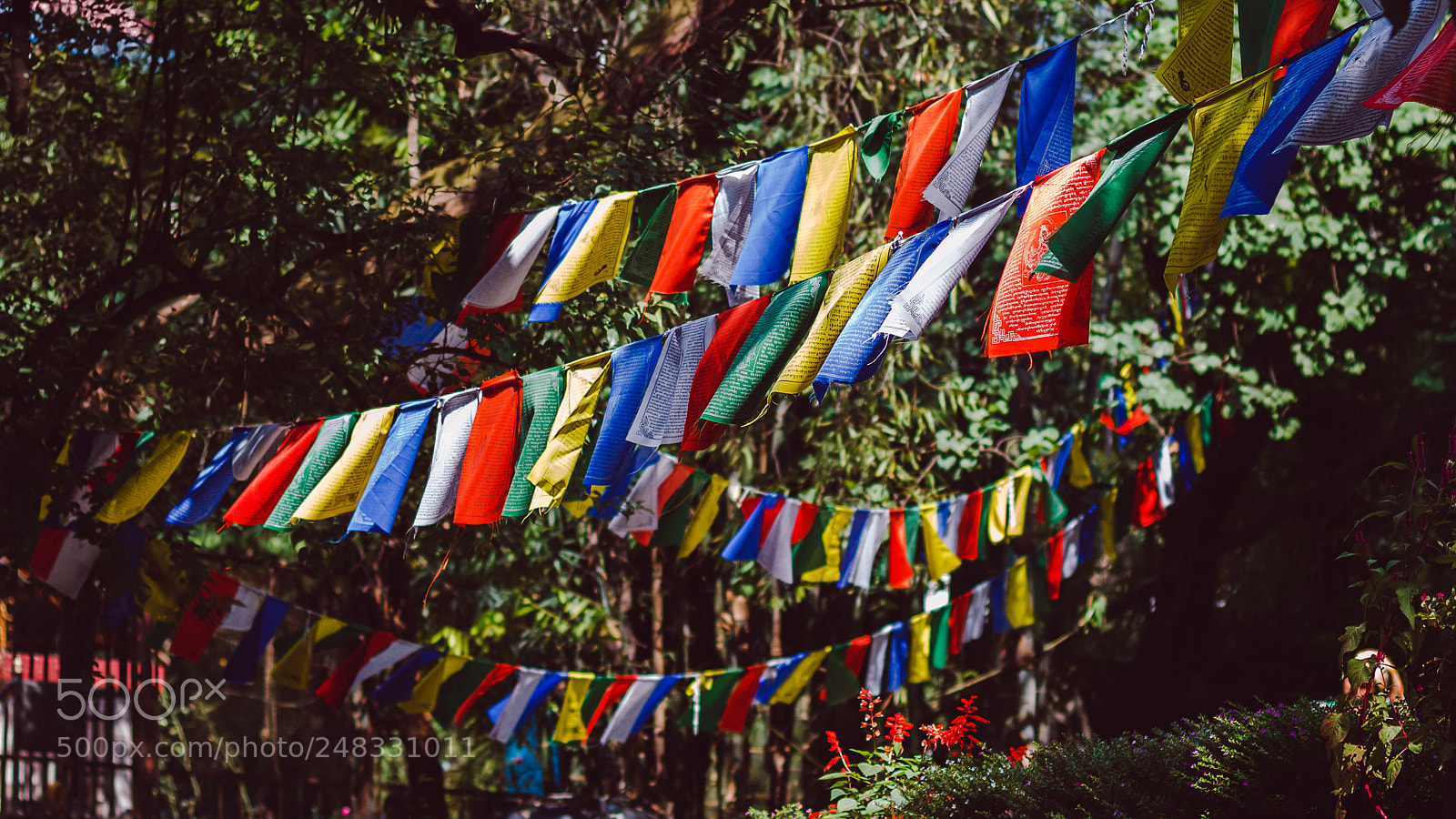 Canon EOS 600D (Rebel EOS T3i / EOS Kiss X5) sample photo. Flags photography