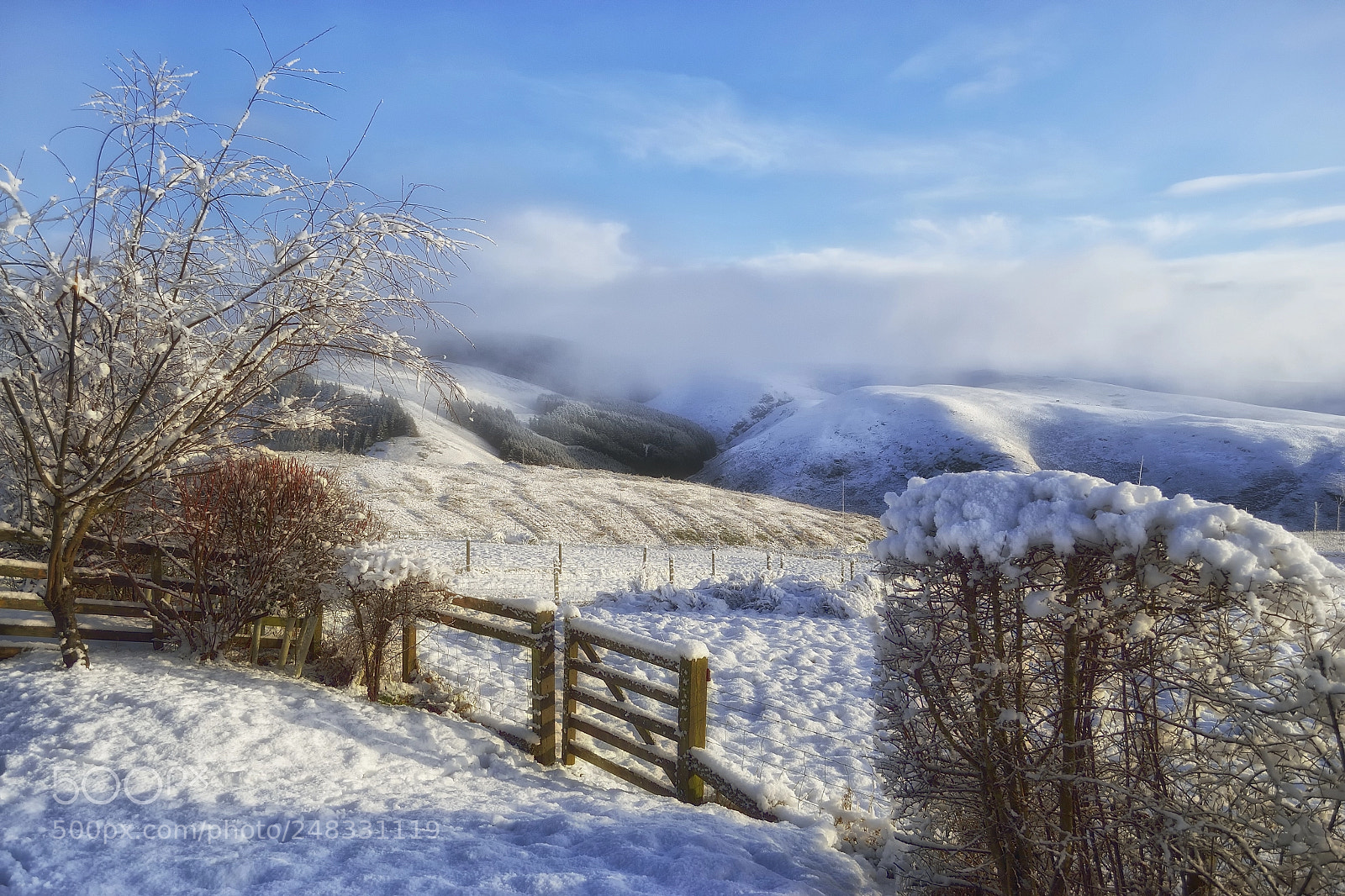 Nikon D3100 sample photo. Kidlandlee view from cottages photography