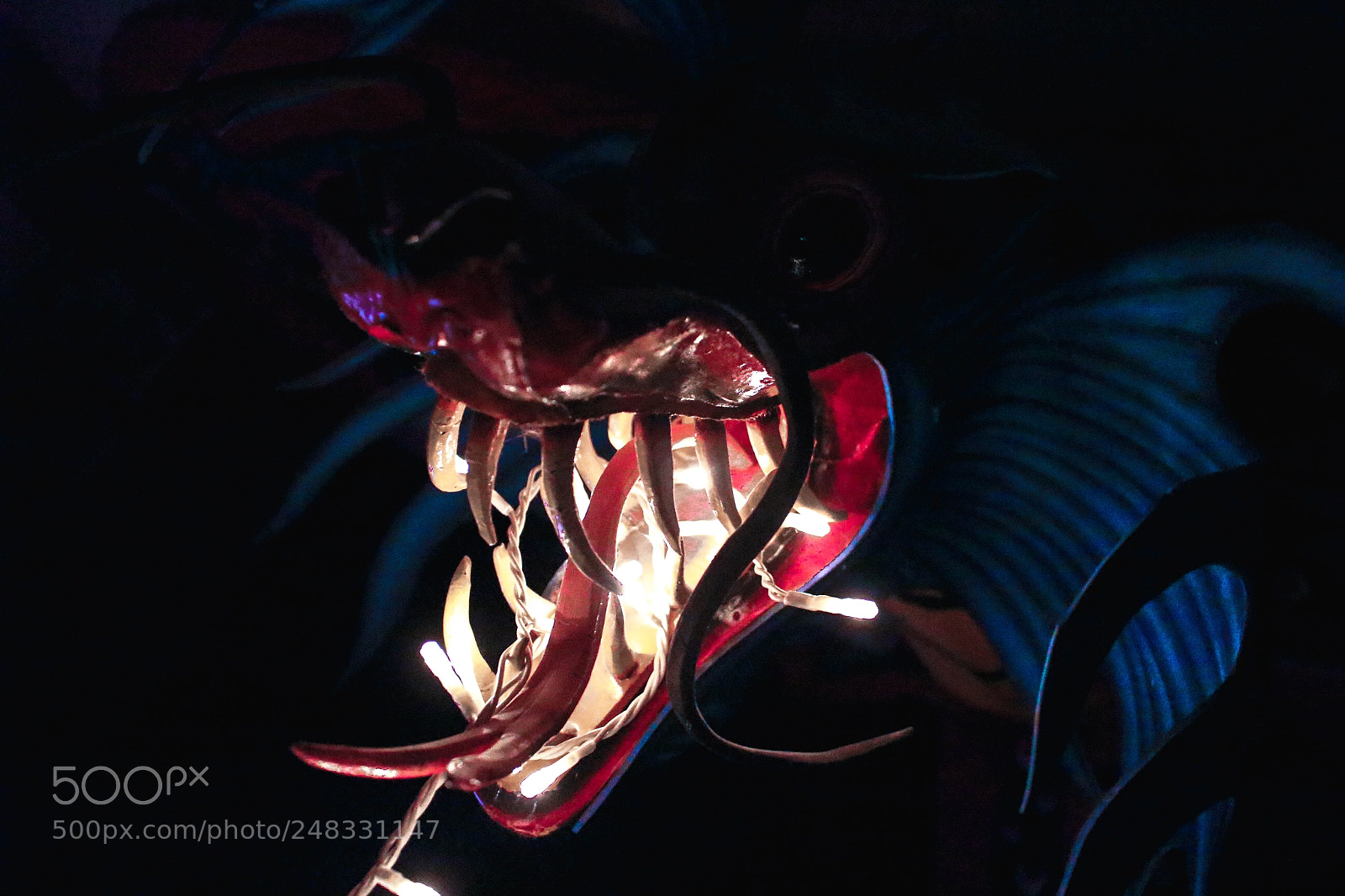 Canon EOS 100D (EOS Rebel SL1 / EOS Kiss X7) sample photo. Light dragon photography
