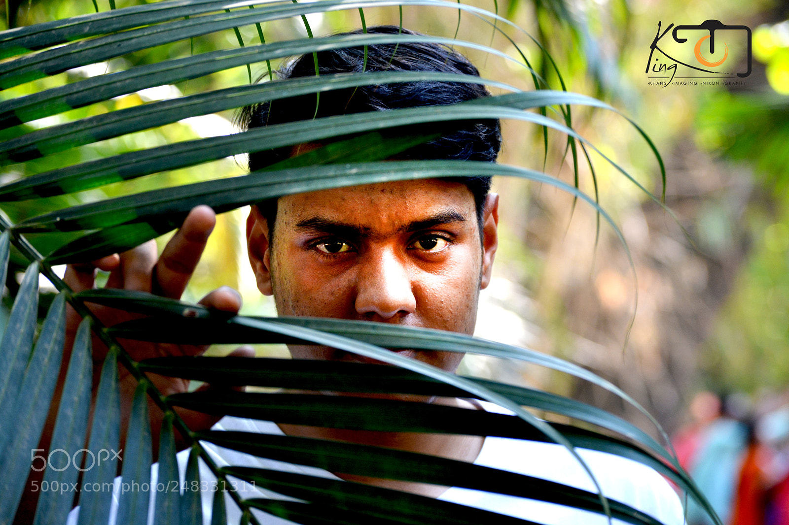 Nikon D5200 sample photo. Hide and silk photography