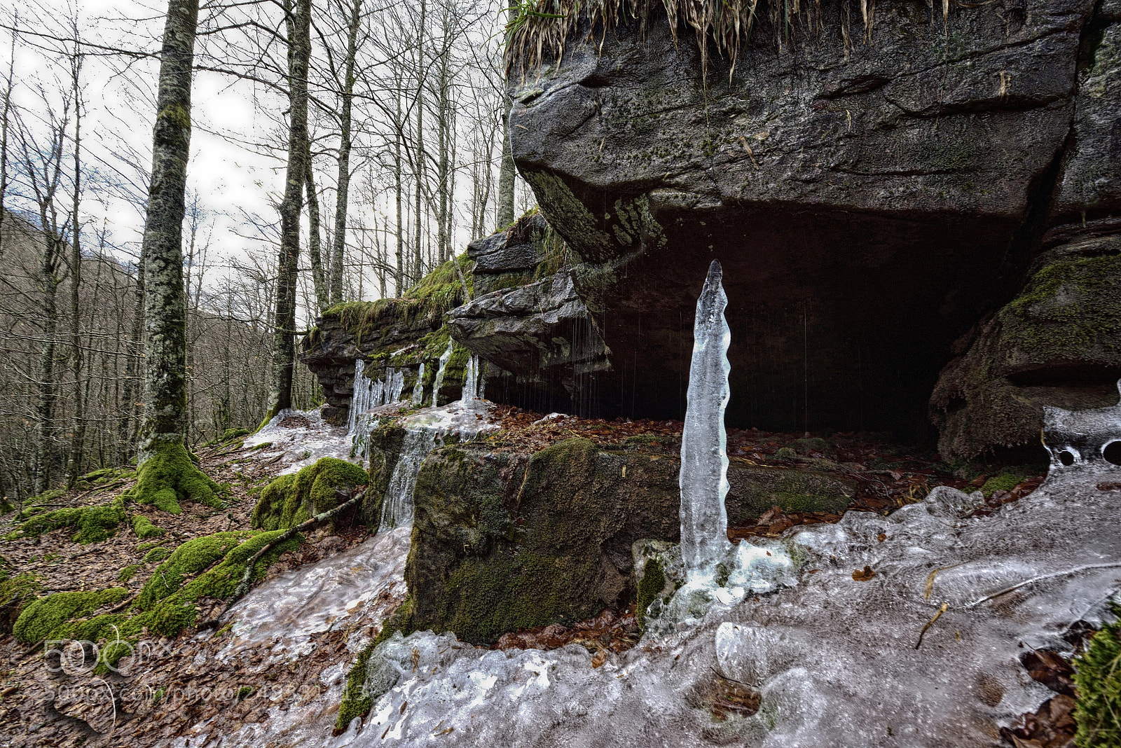 Nikon D810 sample photo. Erect photography