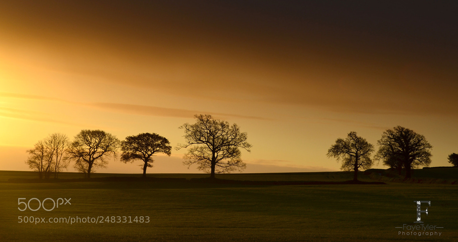 Nikon D5100 sample photo. Devon//sunset photography