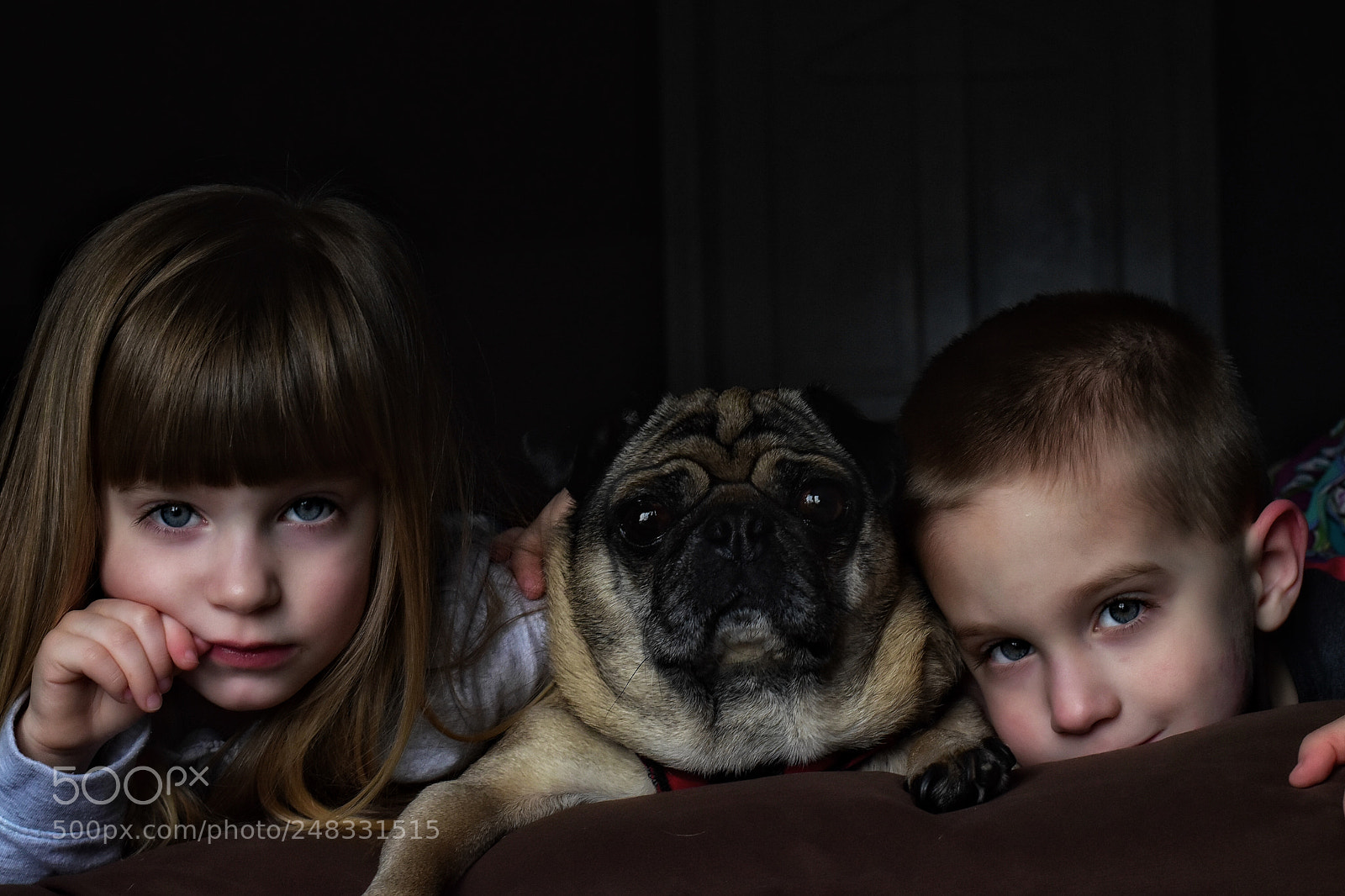 Nikon D5600 sample photo. Untitled photography