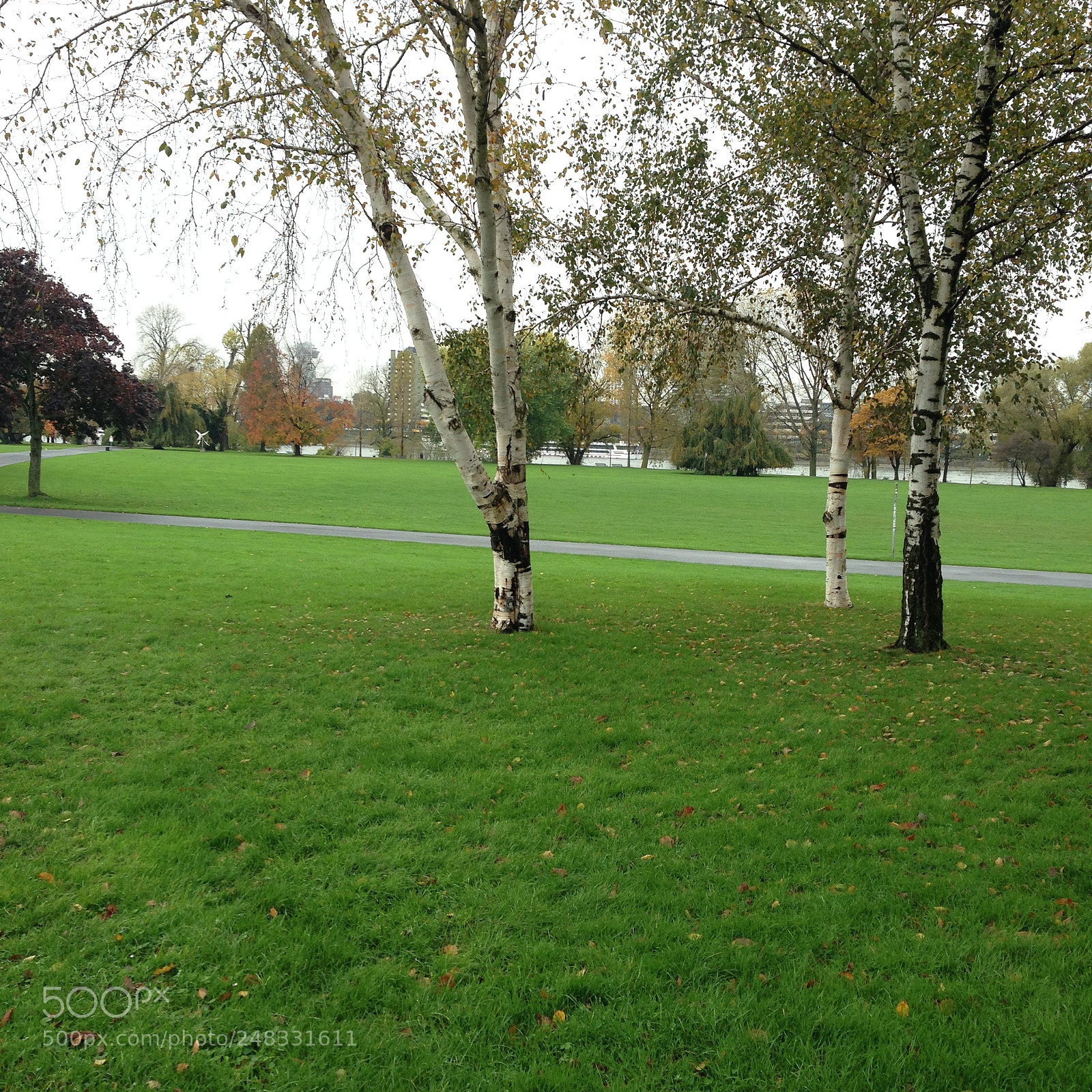 Apple iPhone 5 sample photo. Cologne park photography