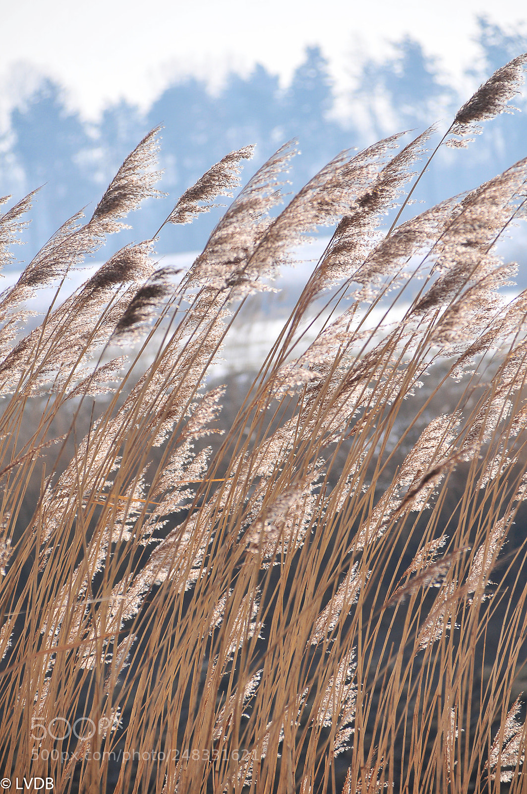 Nikon D300 sample photo. Wave photography
