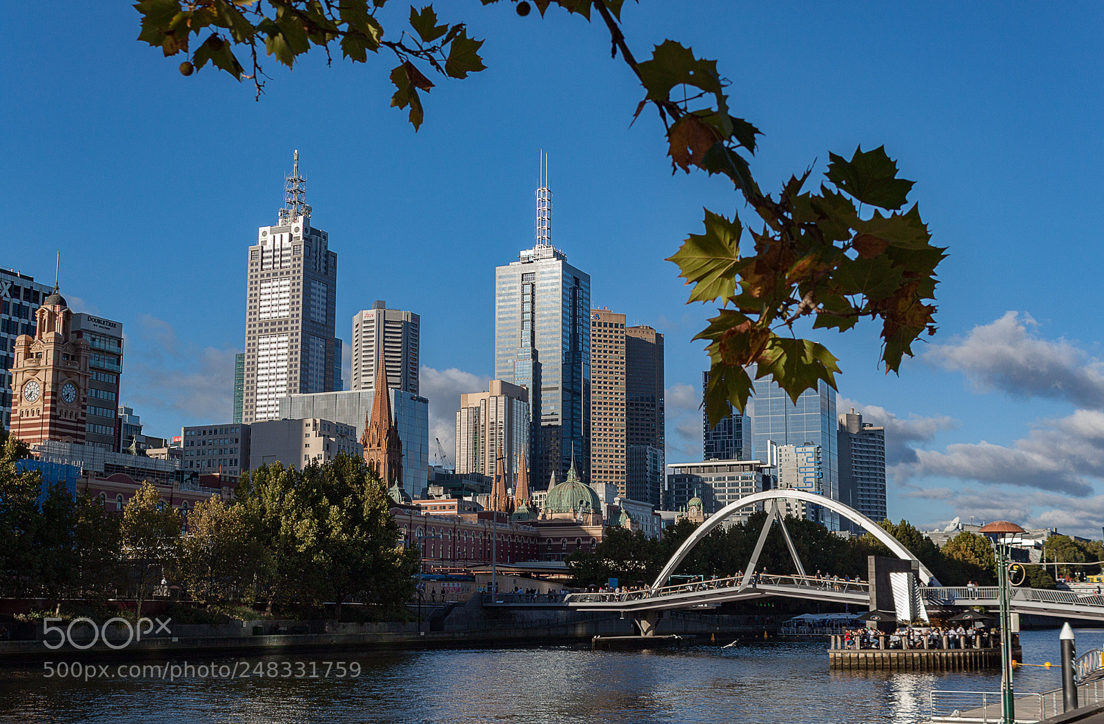 Canon EOS 500D (EOS Rebel T1i / EOS Kiss X3) sample photo. Melbourne photography
