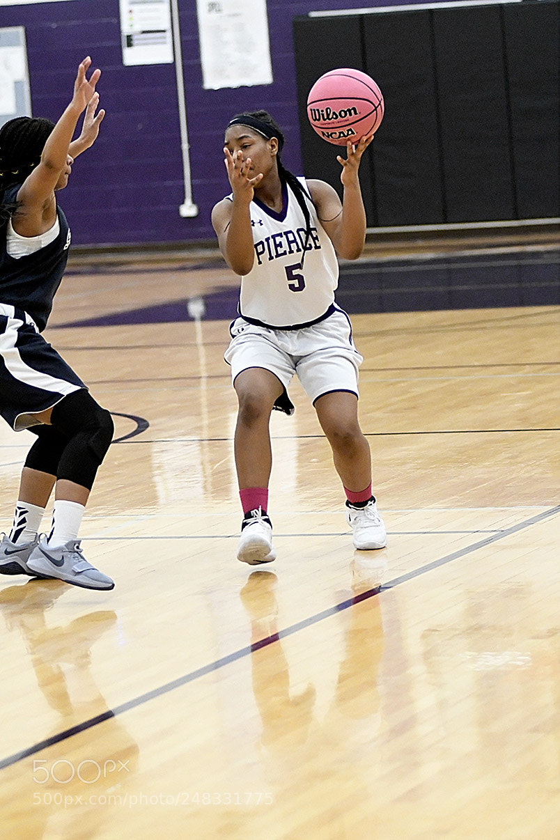 Nikon D500 sample photo. 2-27_0218.jpg photography