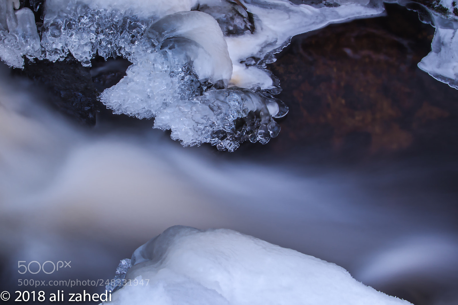 Nikon D500 sample photo. W:ise photography