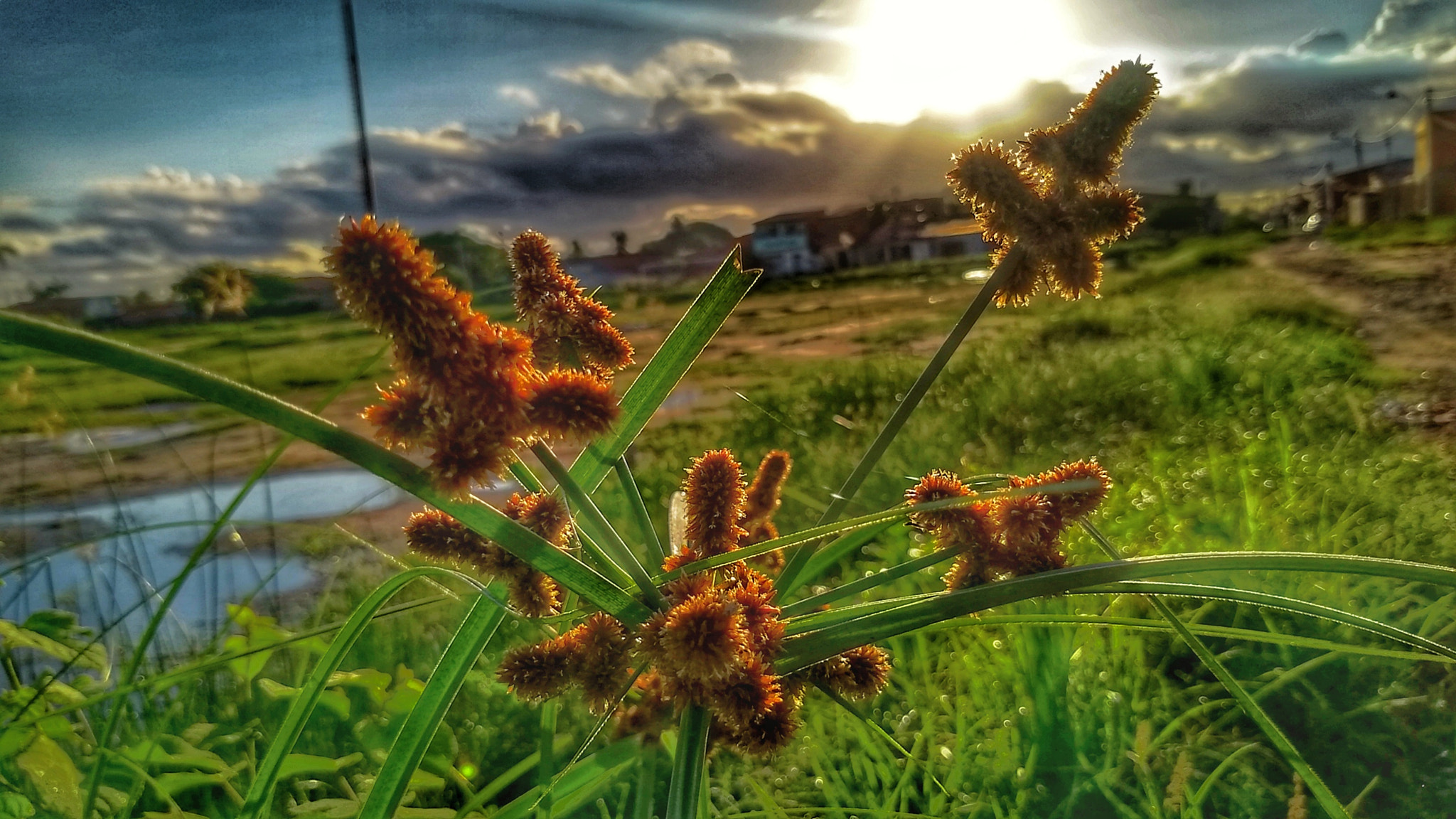 Motorola Moto G (5S) sample photo