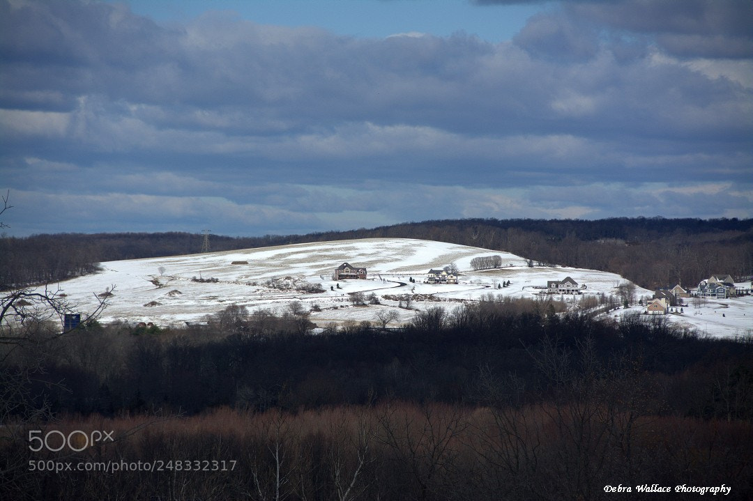 Nikon D7100 sample photo. Winter in warwick photography