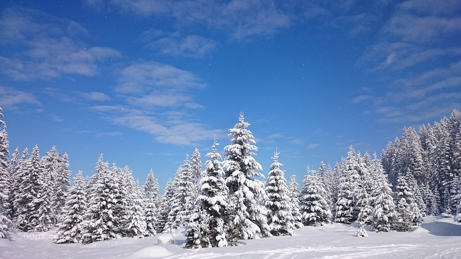 Sony Xperia Z2 sample photo. It's snowing photography