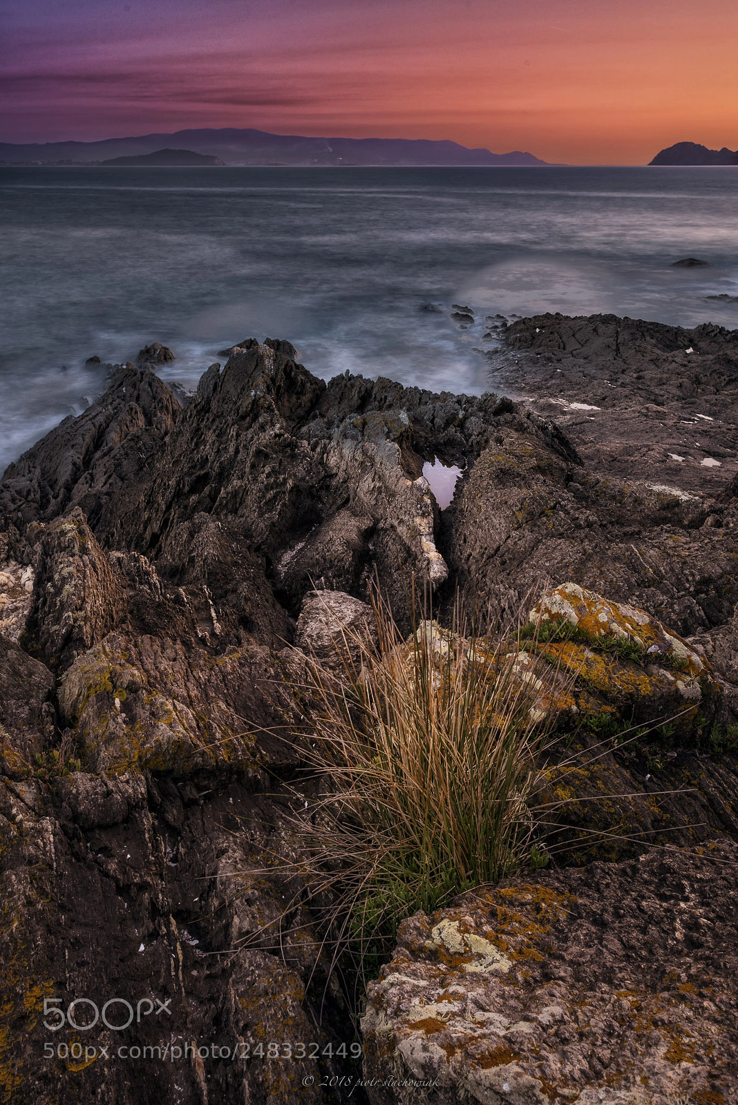 Nikon D810 sample photo. Aqui, justo al lado... (5) photography