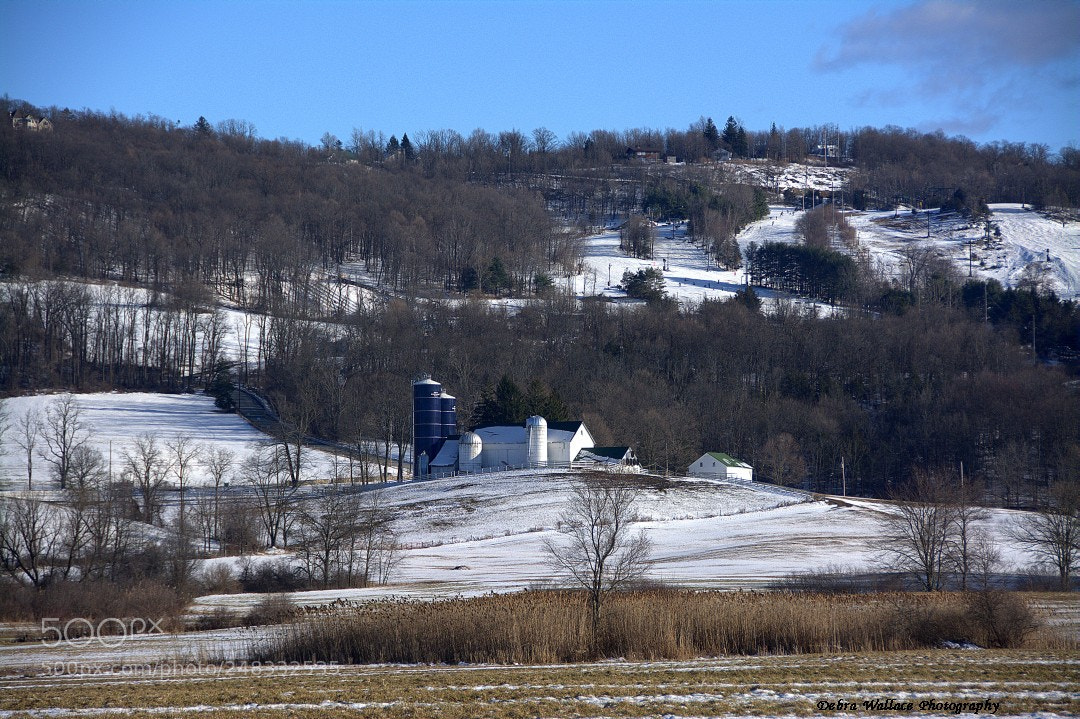 Nikon D7100 sample photo. Bellvale farm at winter photography