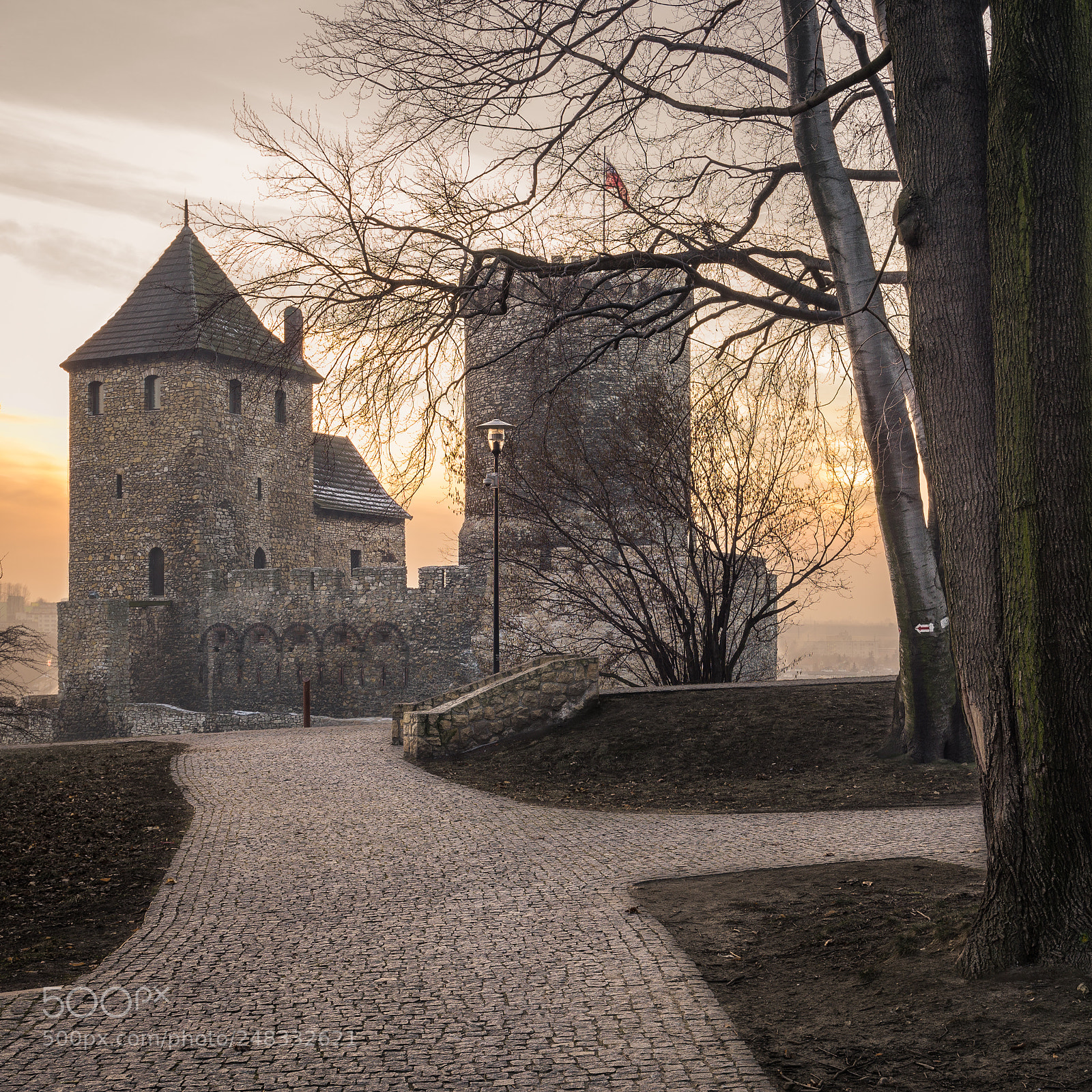 Nikon D610 sample photo. Zamek w będzinie photography