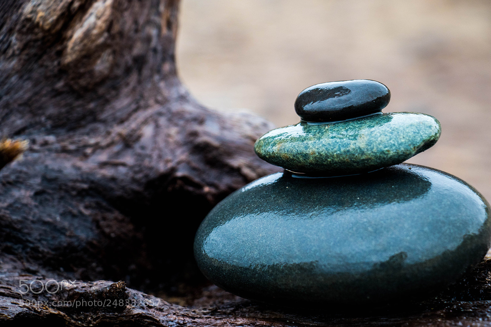 Canon EOS 7D Mark II sample photo. Balance photography