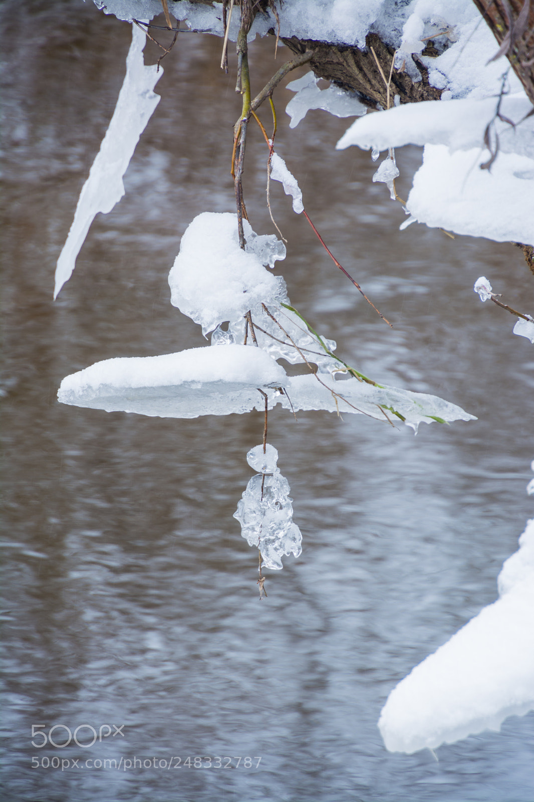 Nikon D5200 sample photo. Under an umbrella photography