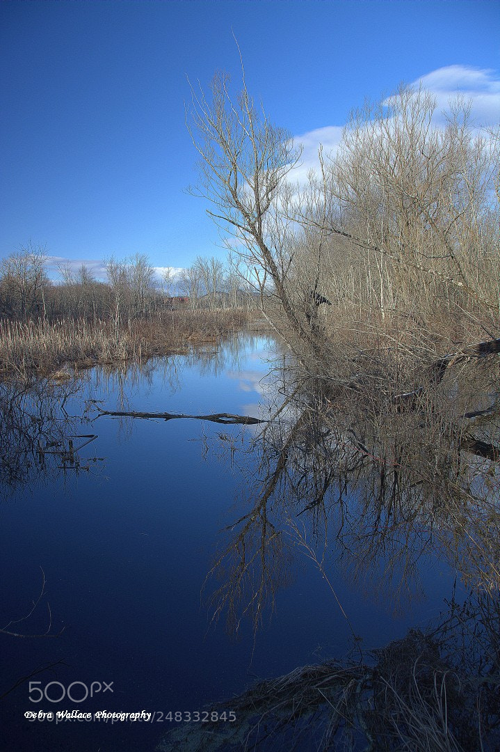 Nikon D7100 sample photo. The blue wawayanda creek photography