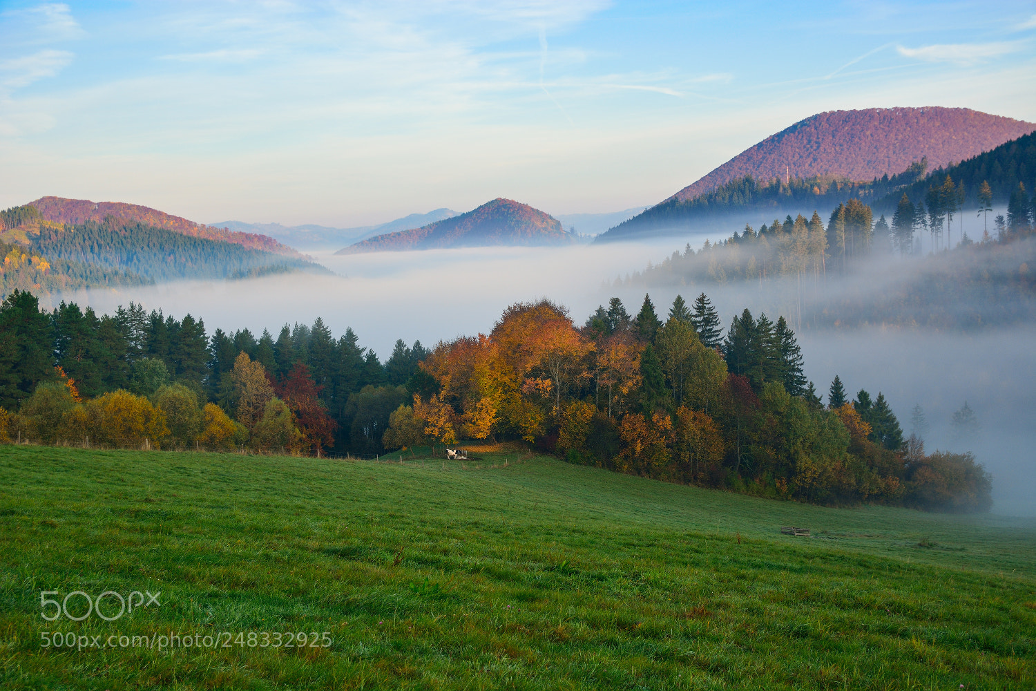 Nikon D7100 sample photo. ... autumn's mornings iii .. photography