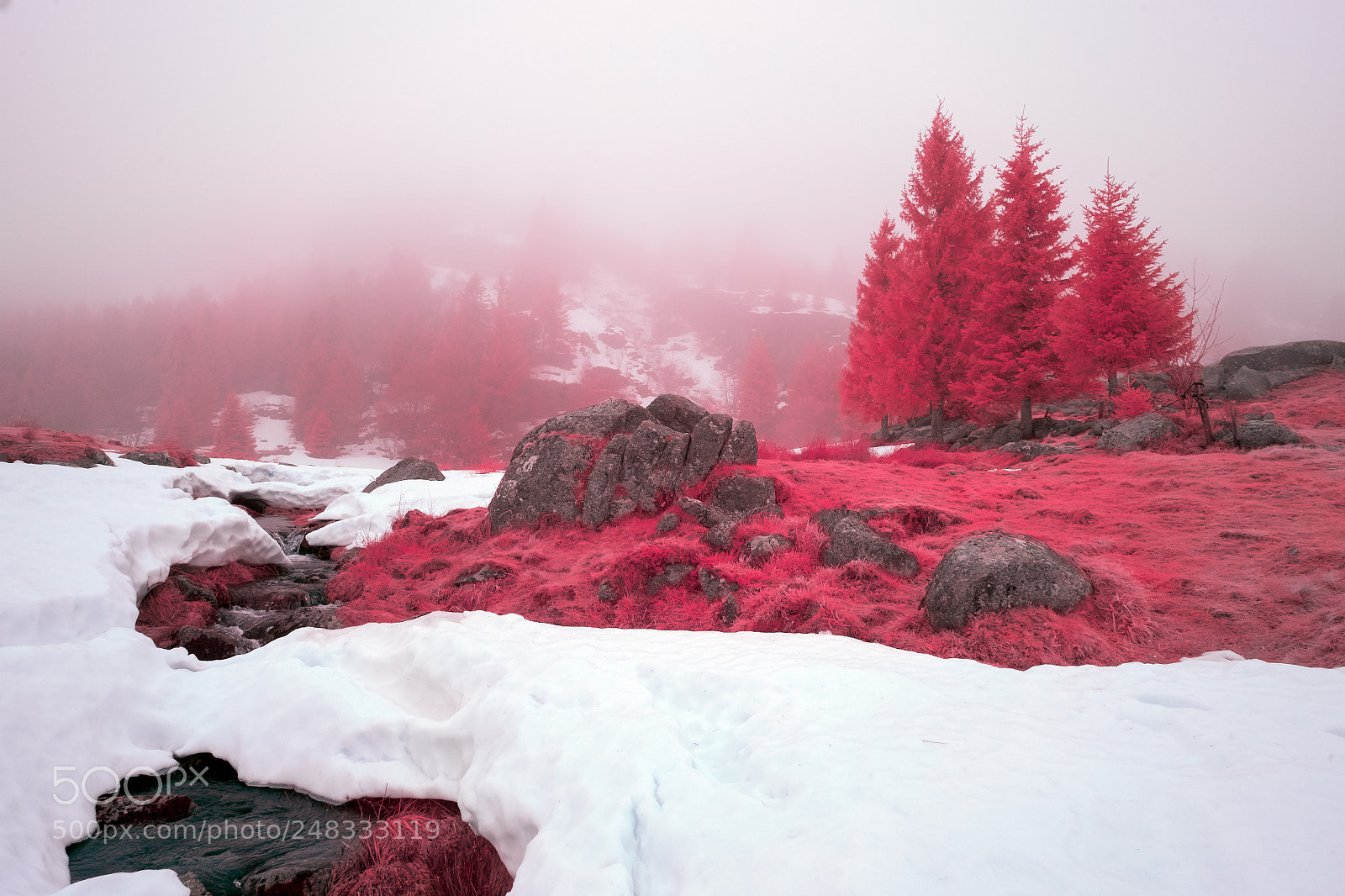 Fujifilm X-E2 sample photo. Winter in red photography