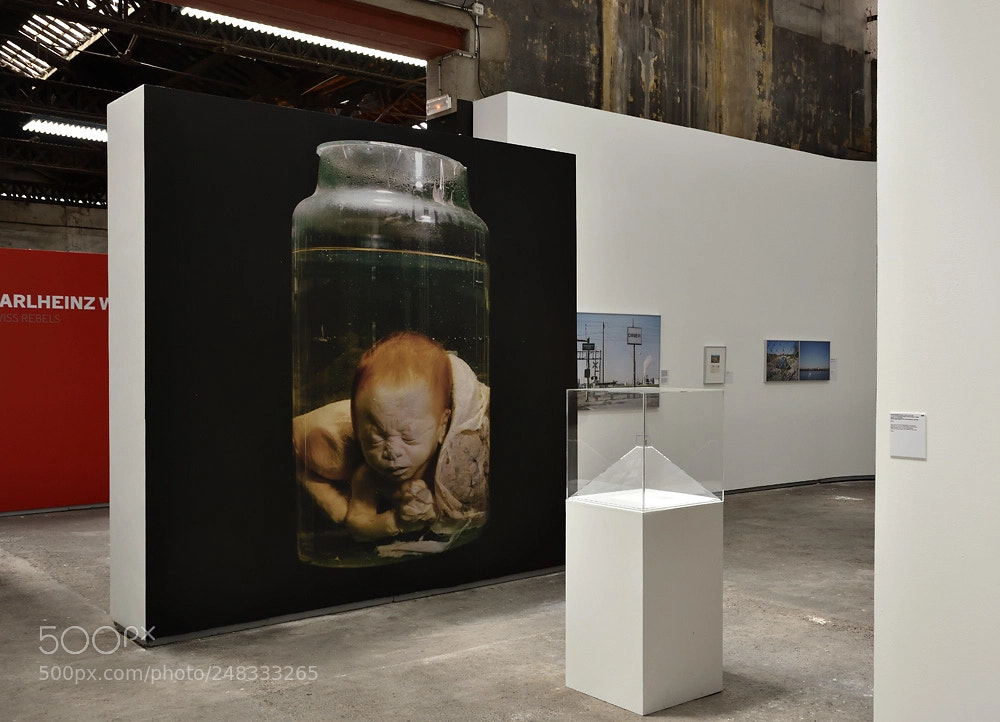 Nikon D7200 sample photo. Fetus exposed to toxic photography