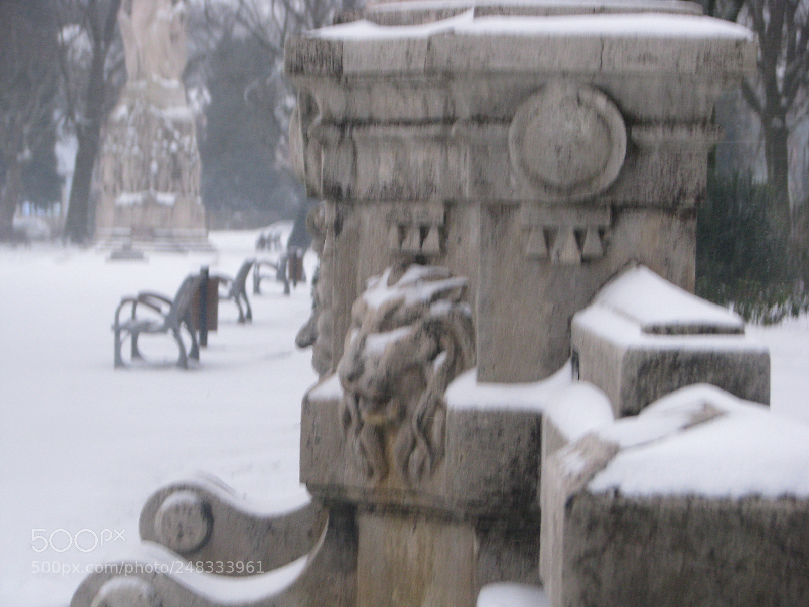 Canon POWERSHOT S5 IS sample photo. Le lion de la photography