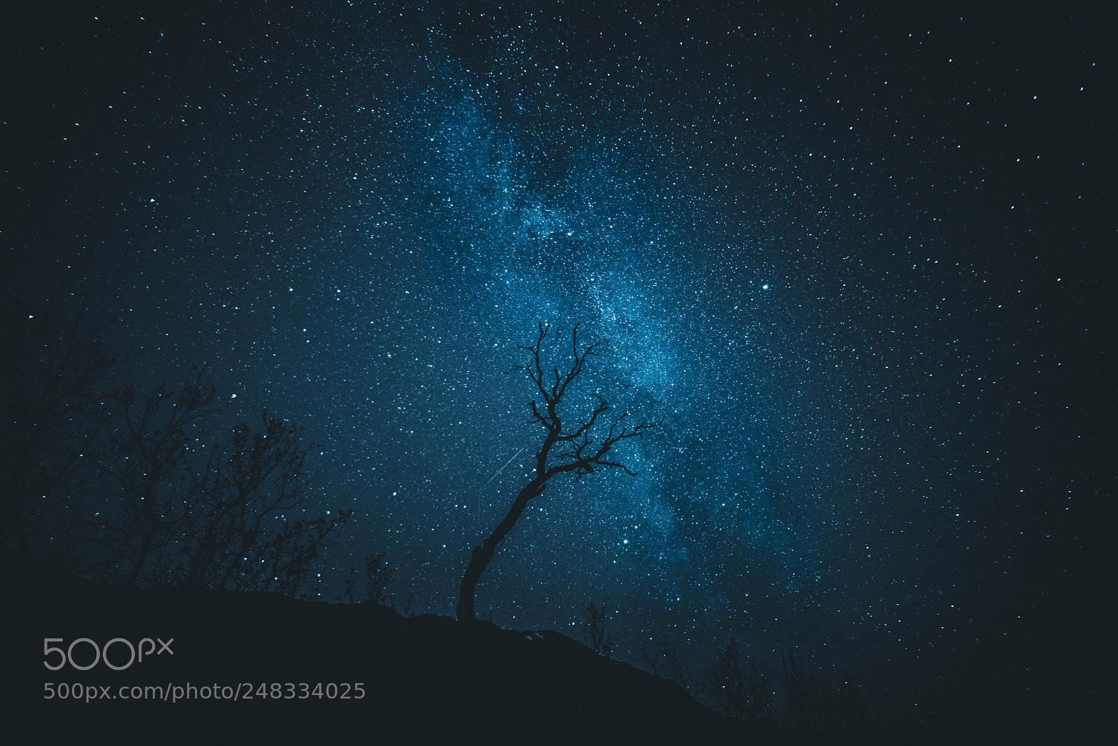 Nikon D600 sample photo. Milkyway photography