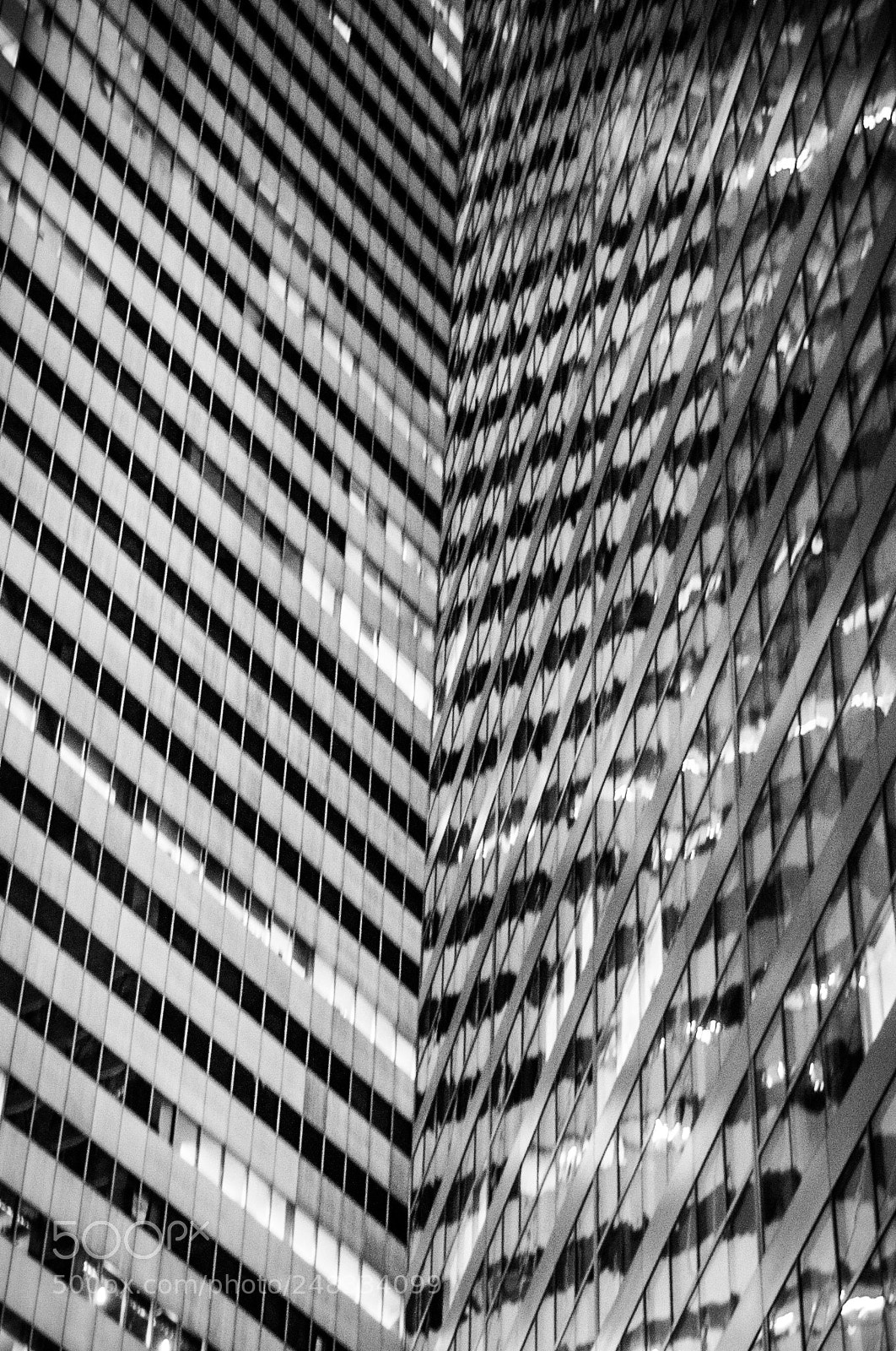 Nikon D90 sample photo. Borderline photography