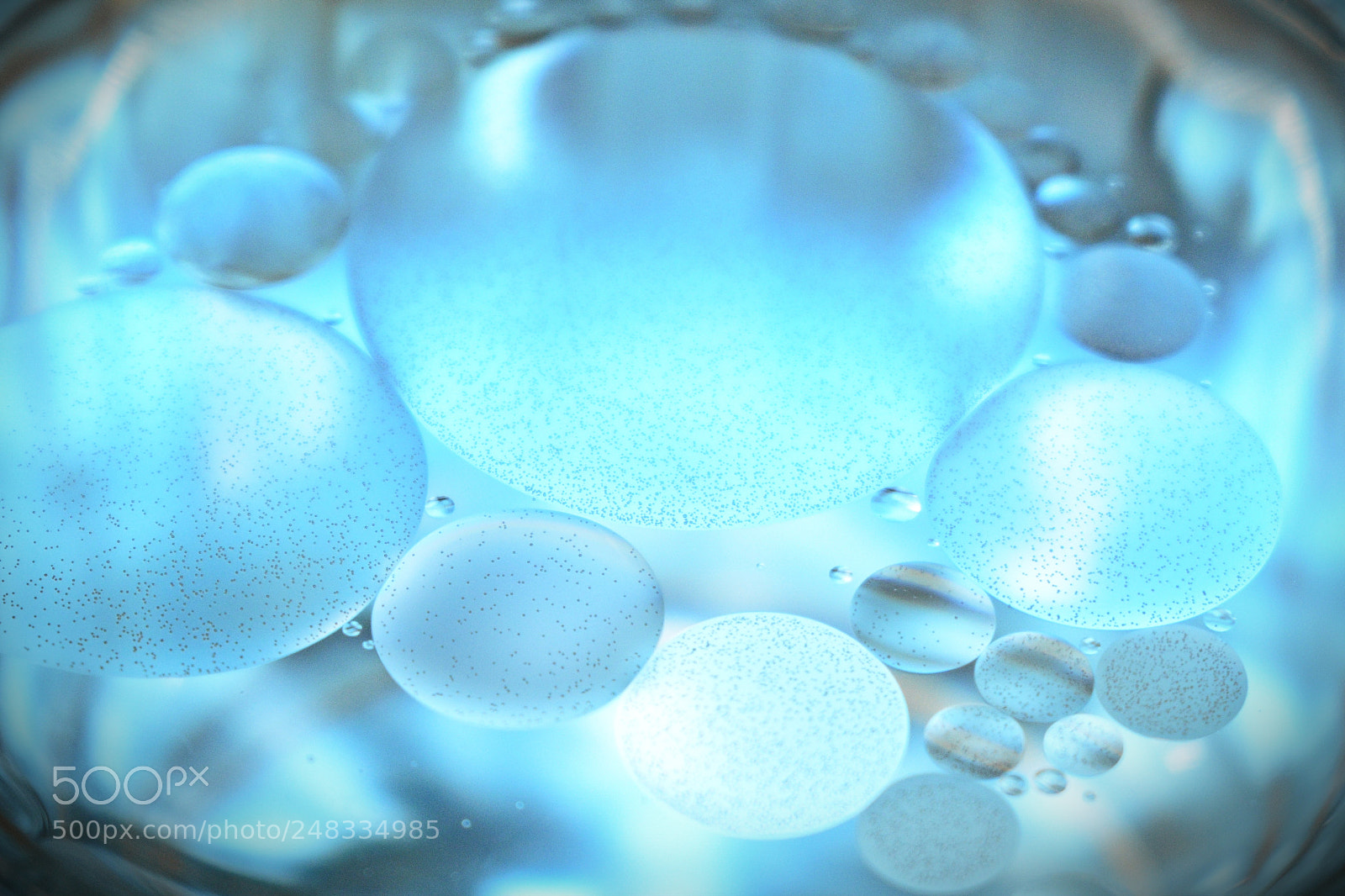 Nikon D5600 sample photo. Oil bubbles in water photography