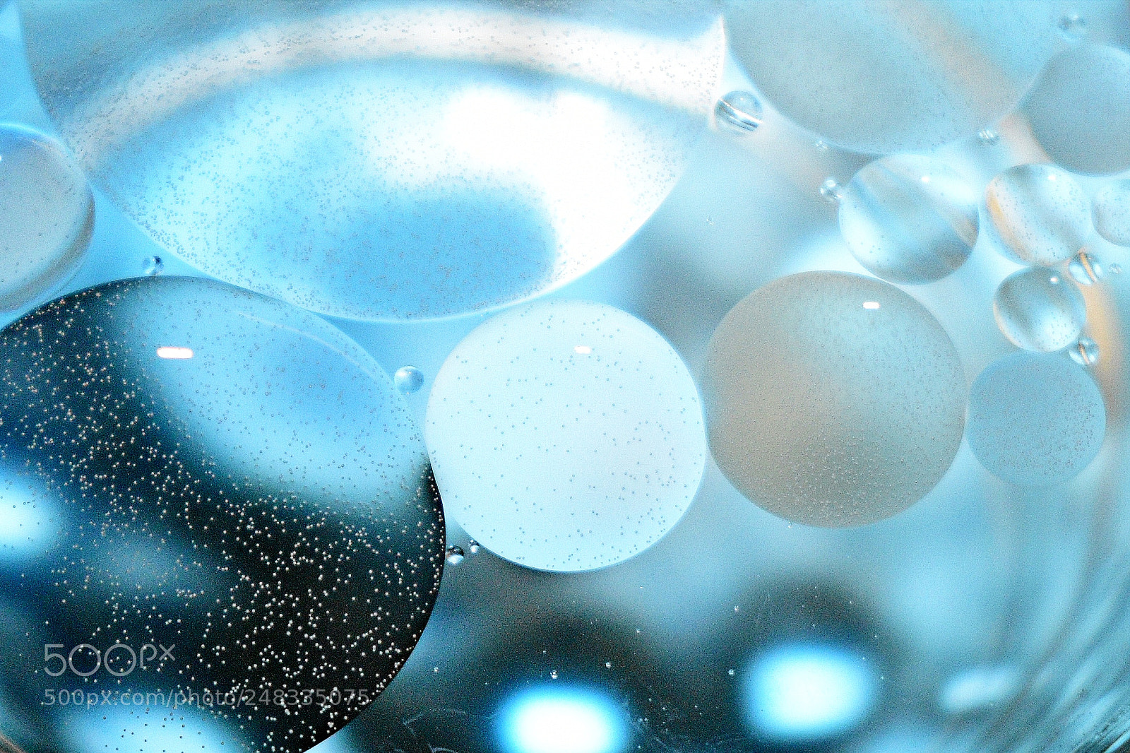 Nikon D5600 sample photo. Oil bubbles in water photography
