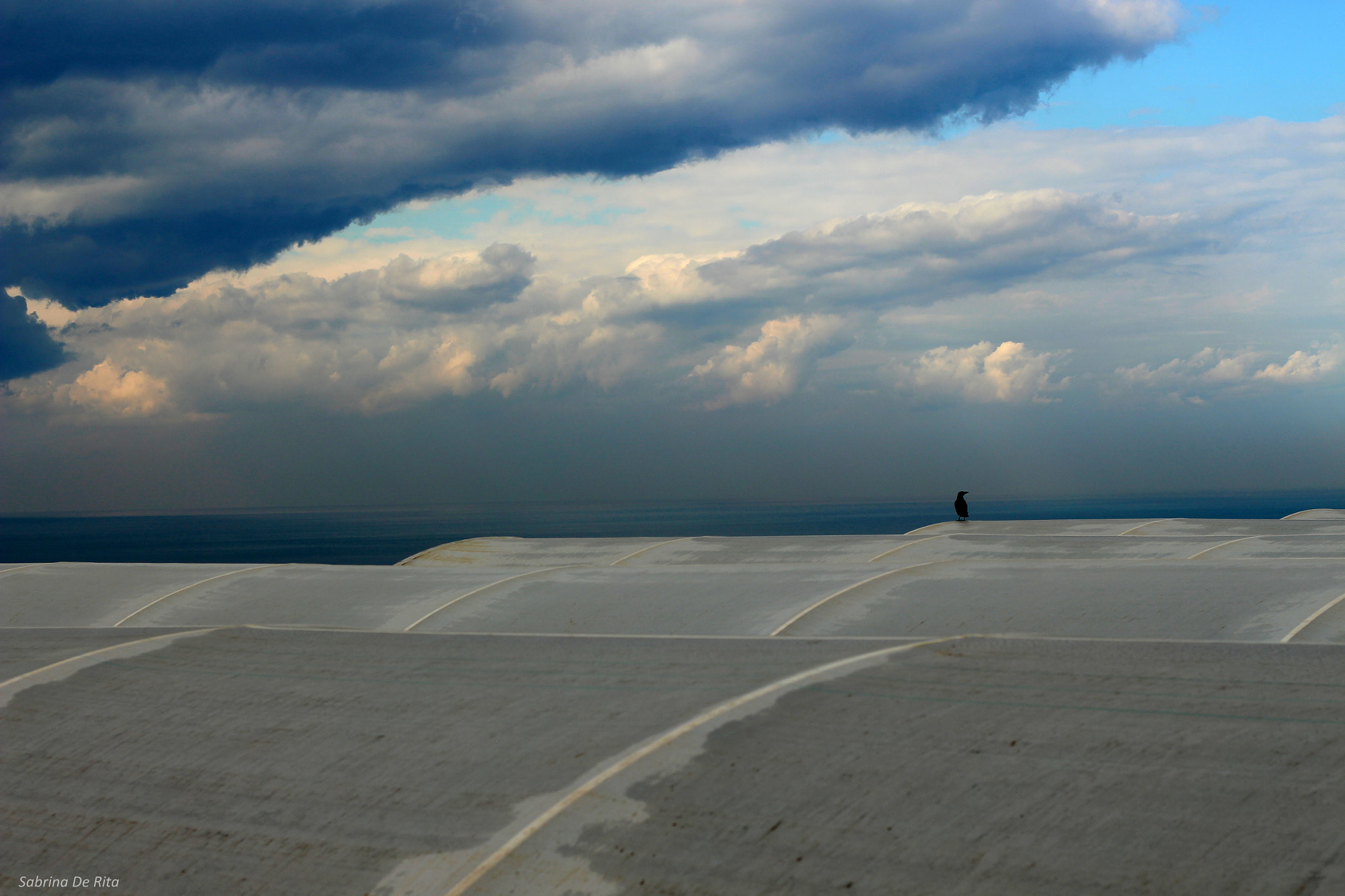 Canon EOS 700D (EOS Rebel T5i / EOS Kiss X7i) + Canon EF 50mm F1.8 II sample photo. Crow on a roof photography