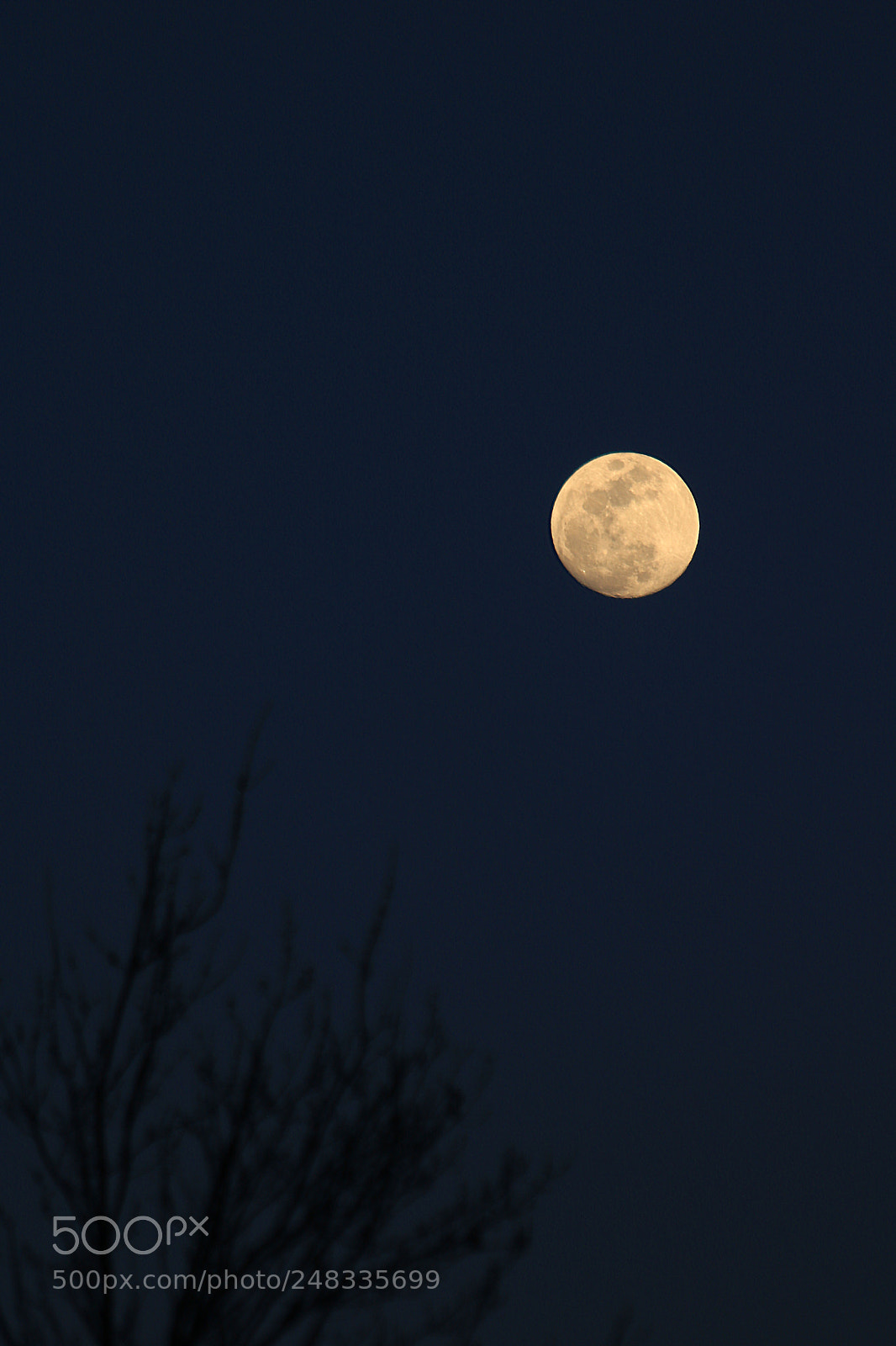 Canon EOS 750D (EOS Rebel T6i / EOS Kiss X8i) sample photo. The moon photography