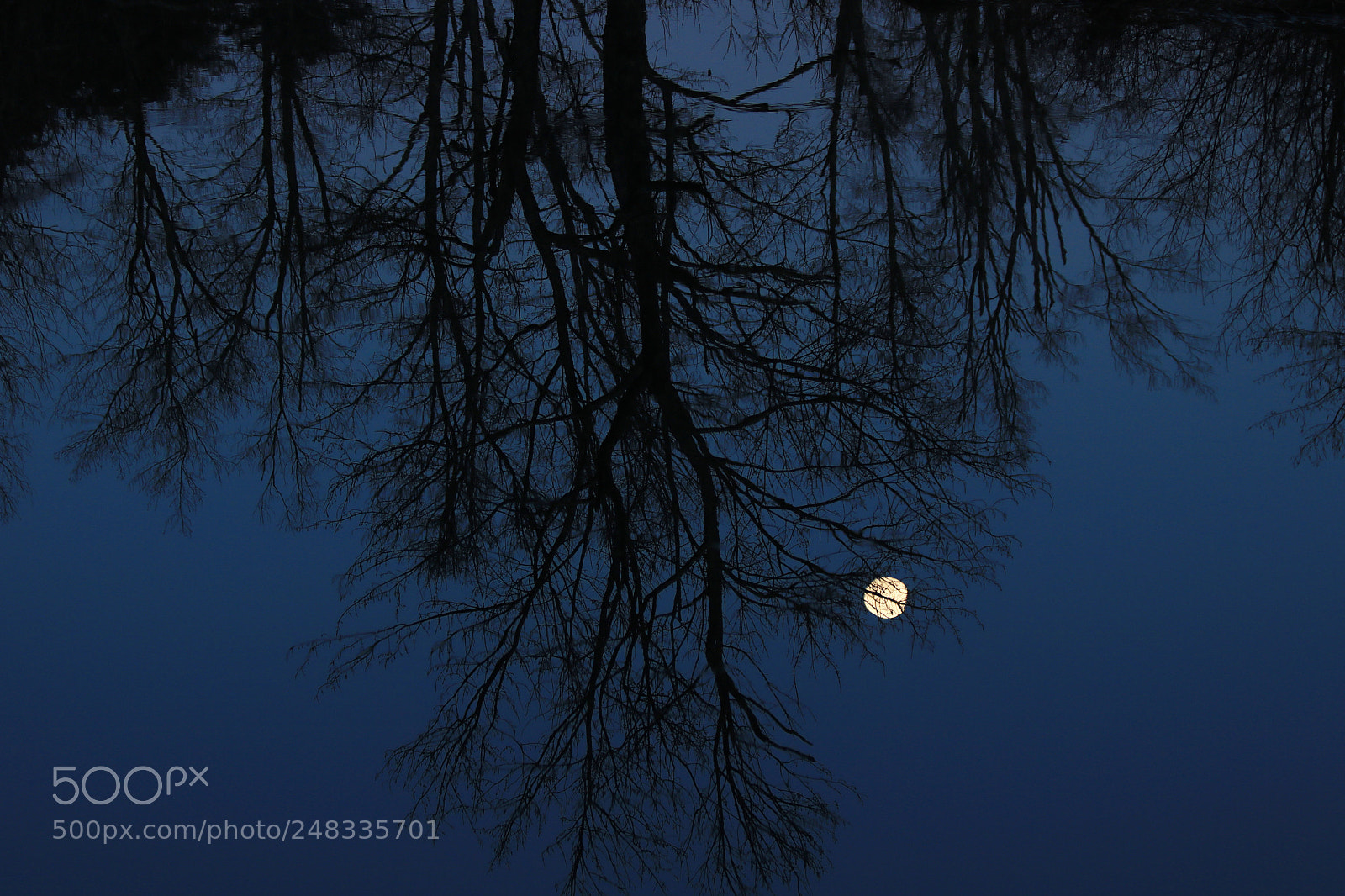 Canon EOS 750D (EOS Rebel T6i / EOS Kiss X8i) sample photo. Moon reflecting in water photography