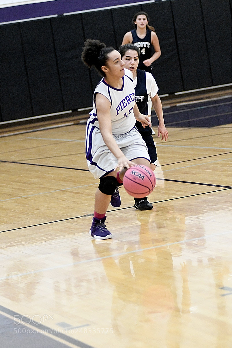 Nikon D500 sample photo. 2-27_1020.jpg photography