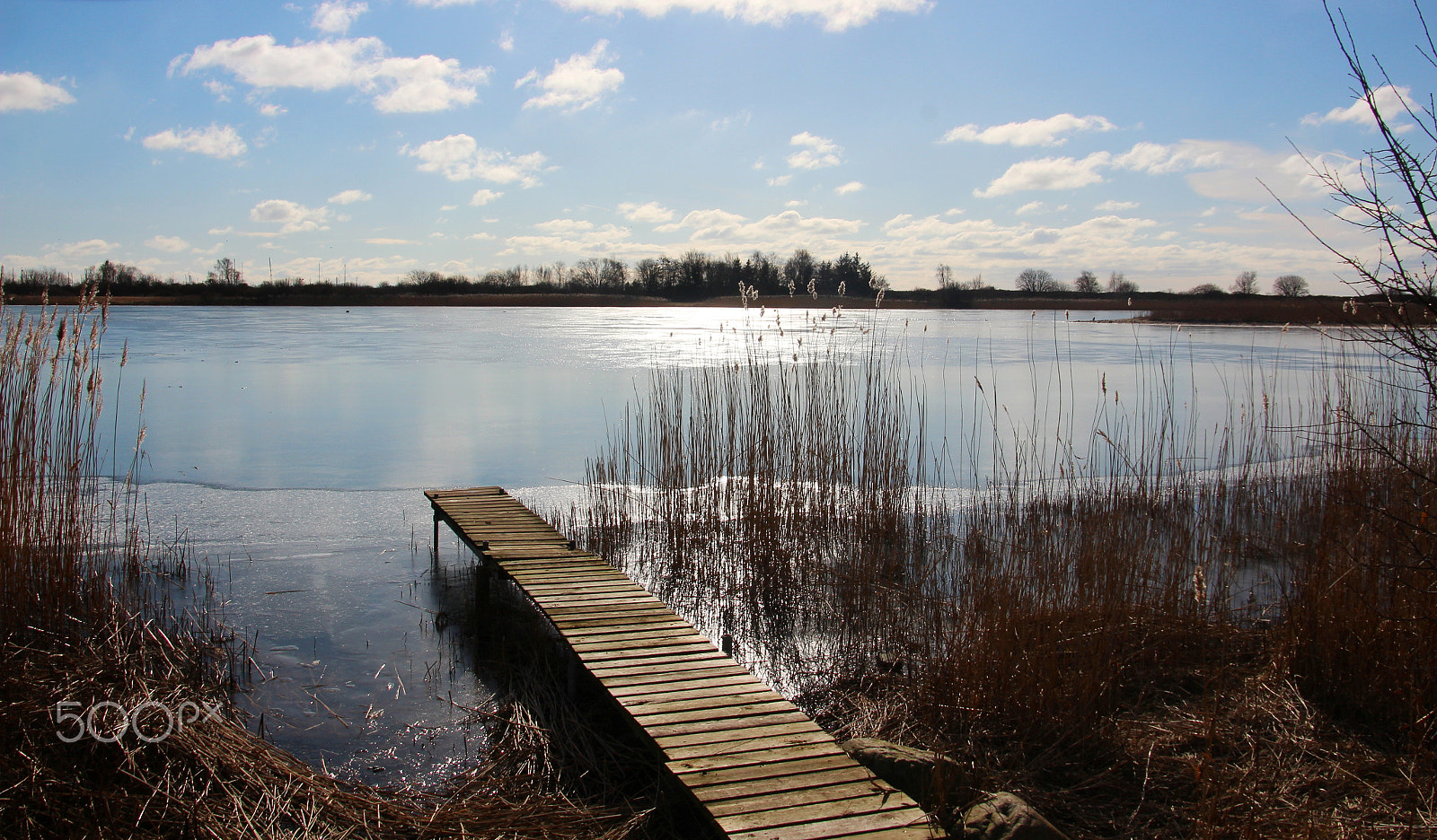 Canon EOS 600D (Rebel EOS T3i / EOS Kiss X5) sample photo. Cph frost photography