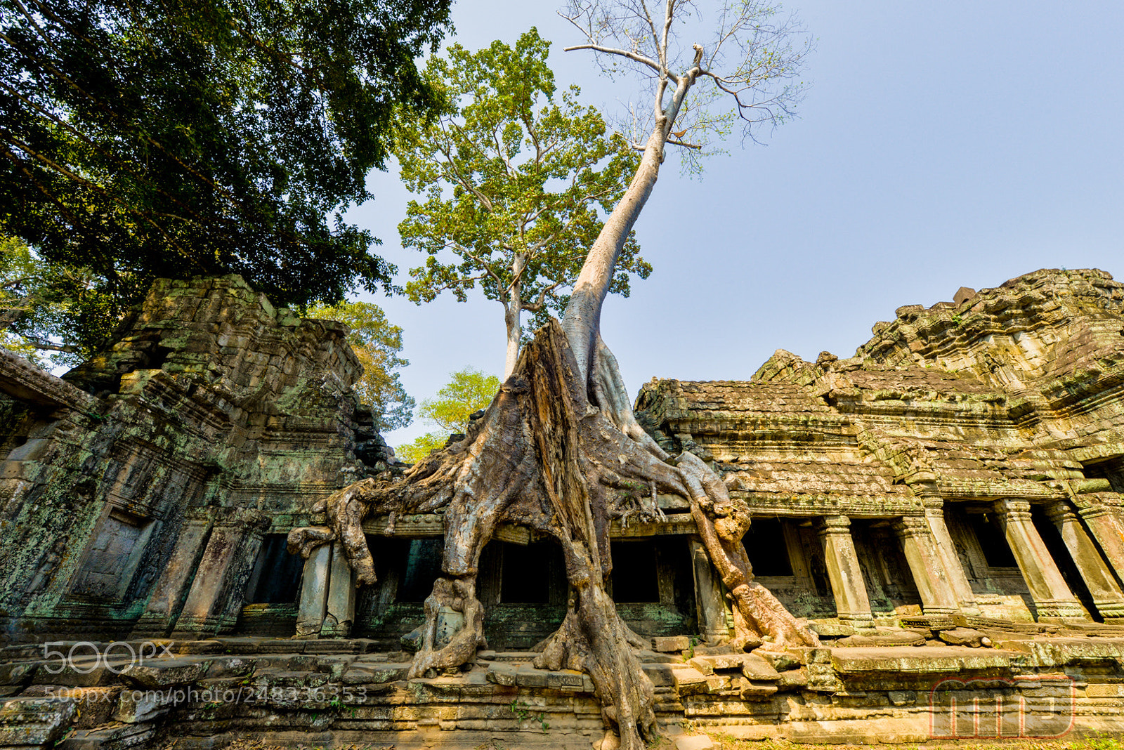 Nikon D800 sample photo. Preah khan photography