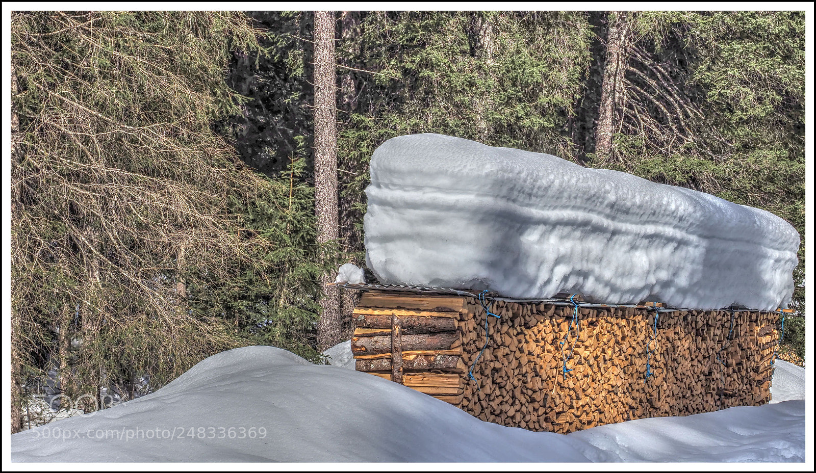 Olympus OM-D E-M1 Mark II sample photo. Icing on the cake photography