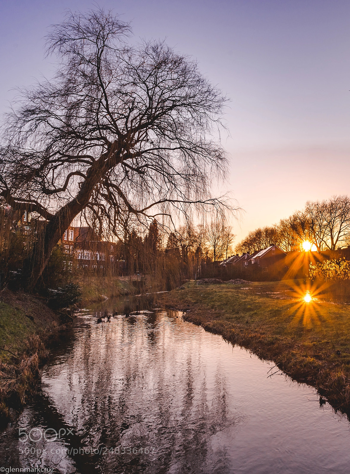 Sony a7 II sample photo. Double sun-star photography